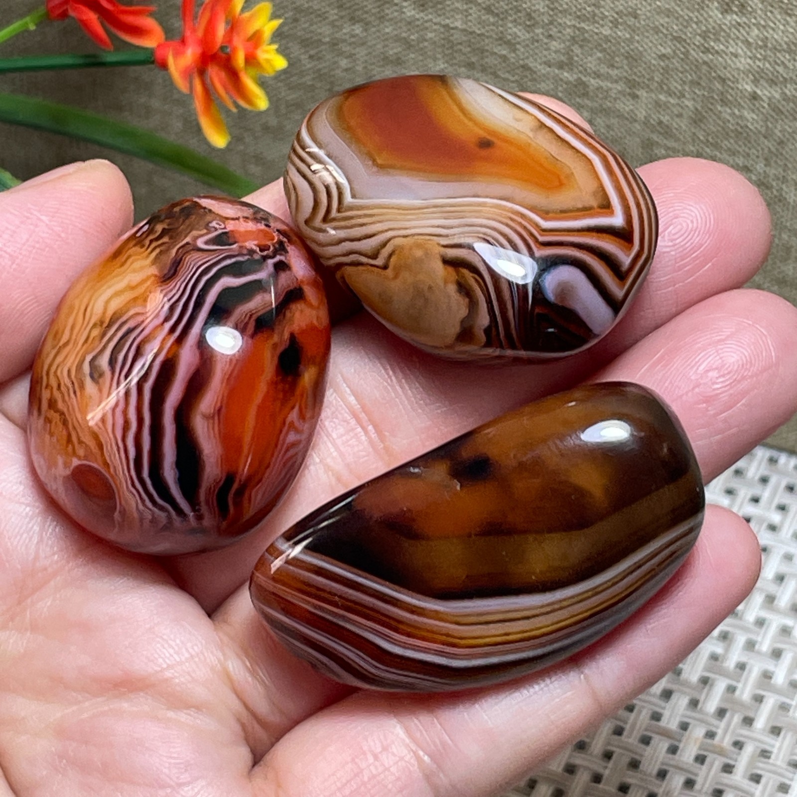 3pcs Crazy Lace SILK Banded Polished Tumbled Stone Madagascar Decor 77g