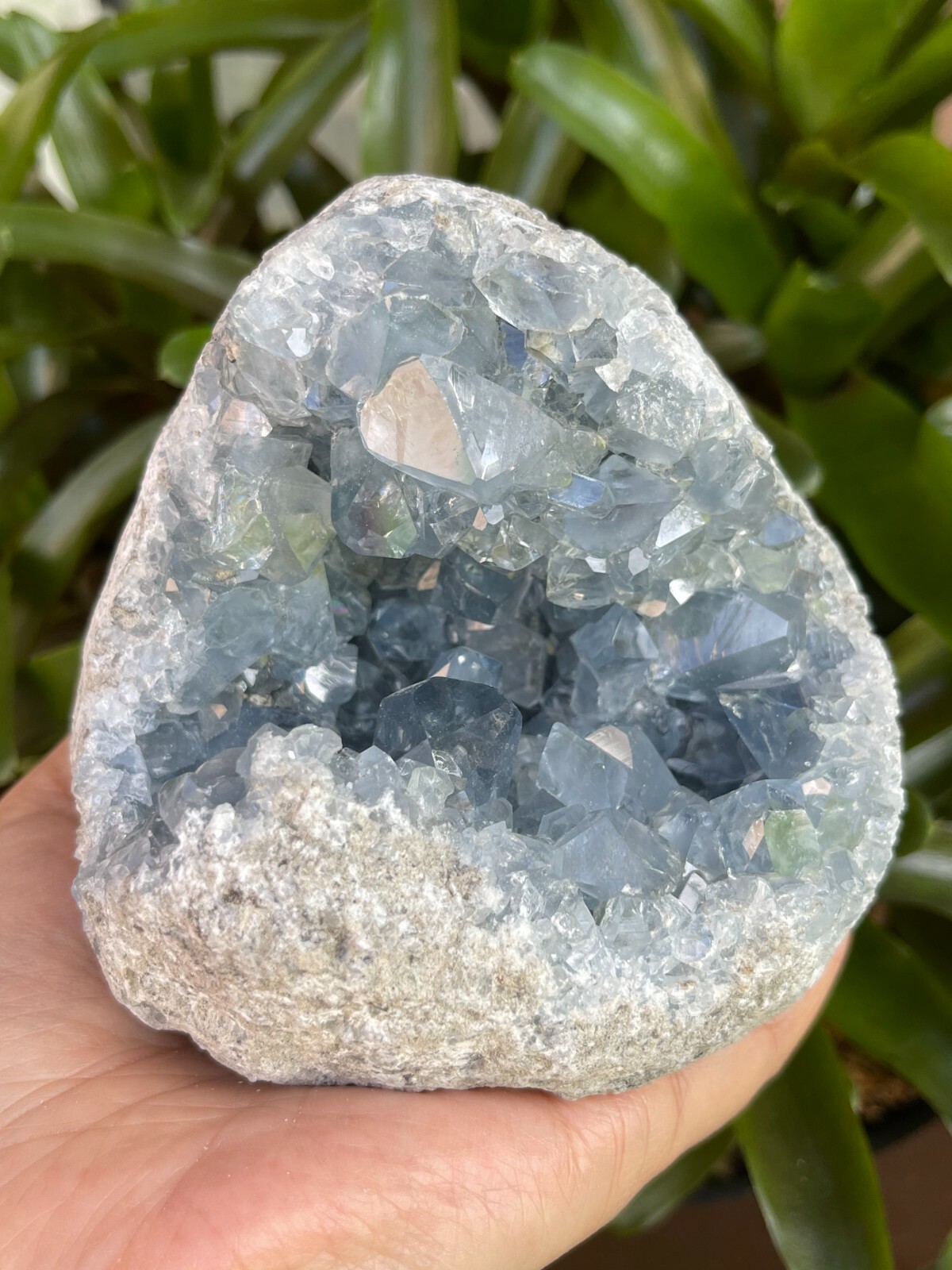 Raw Celestite Cluster, Celestite Geode, Natural Blue Celestite, Pick a Weight