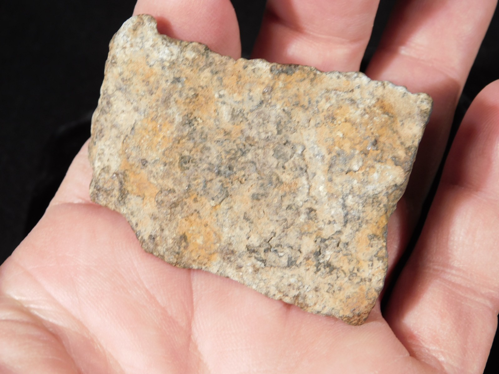 Classified NWA 8245 METEORITE 100% Natural FELL on Erfoud, Morocco 92.7gr