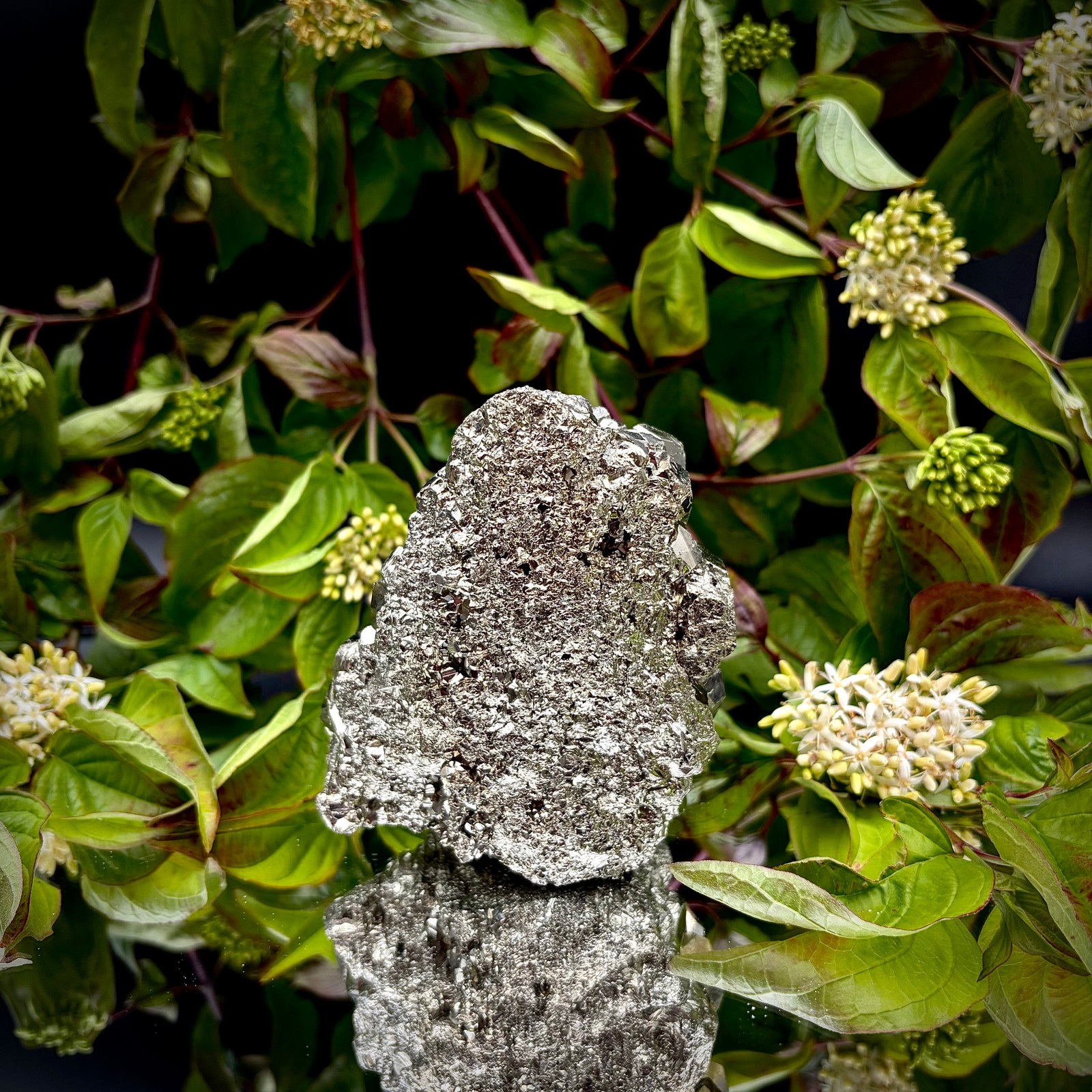 Large High-Grade AA Peruvian Pyrite Crystal Cluster #59 | Collectors Peruvian