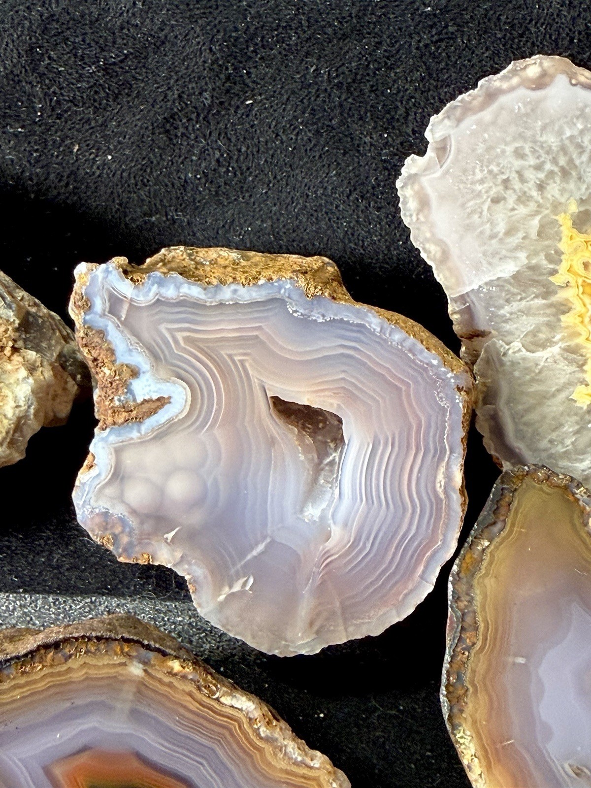 Huge Collection of Coyamito Agates. Mirror Polished Mexico. HARDAGATES