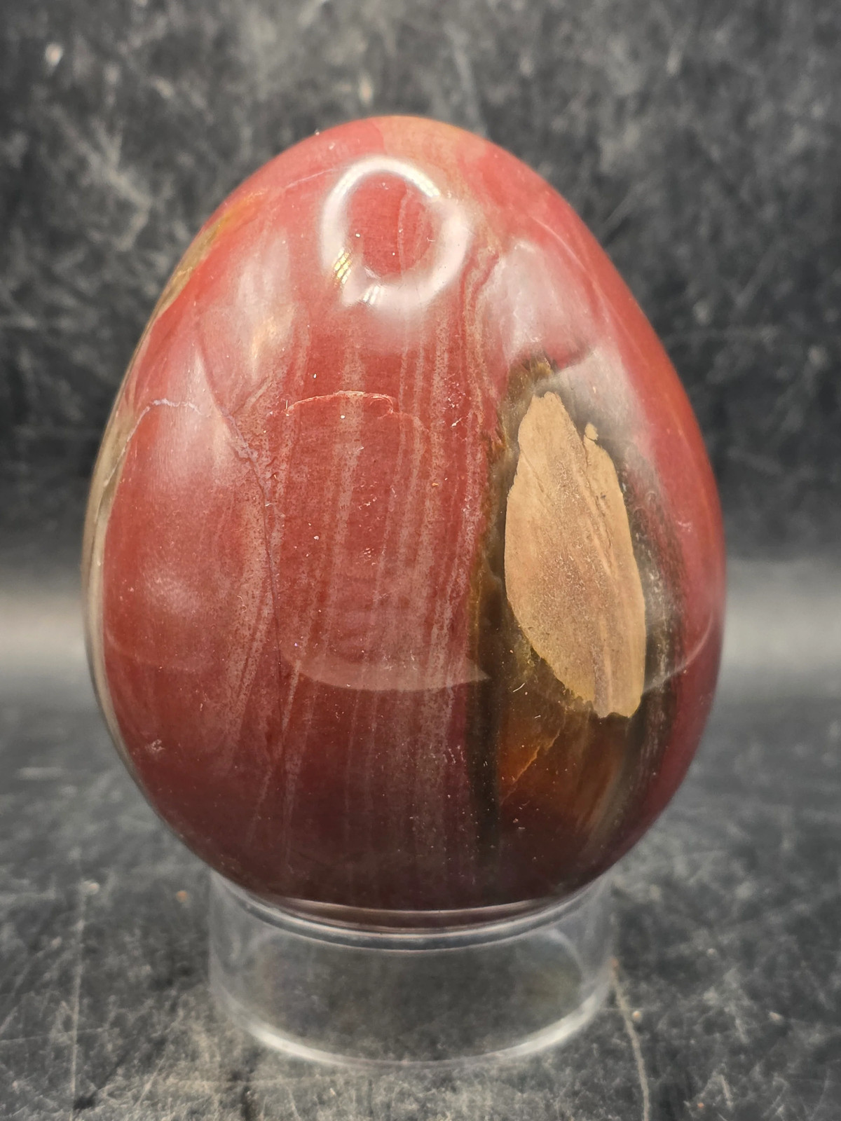 Petrified wood egg! 1.2 pounds, 3.3 inches tall, 2.6 inches wide
