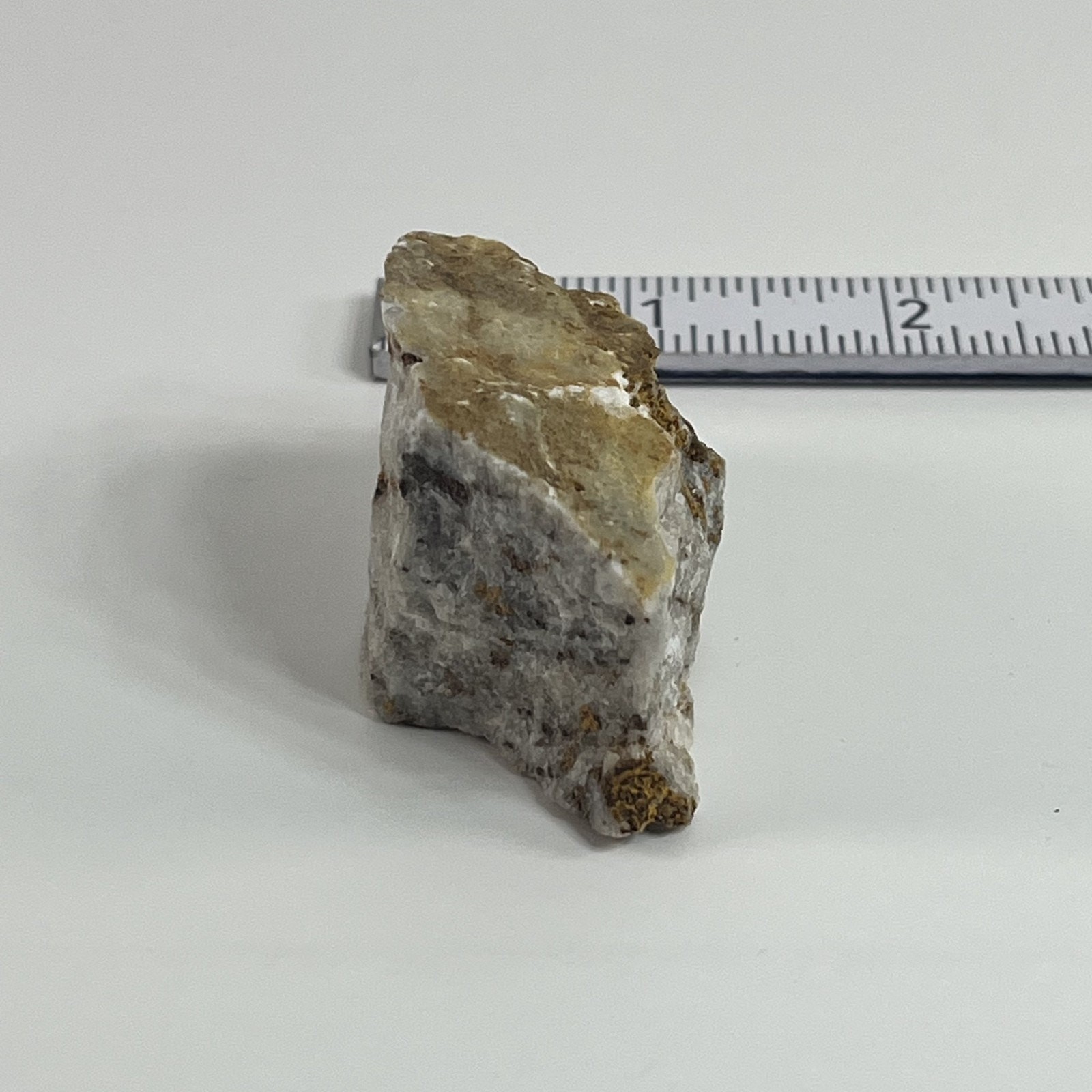 Vermiculated Rock Idaho Chas Mathews Geological Specimen Mineral Display