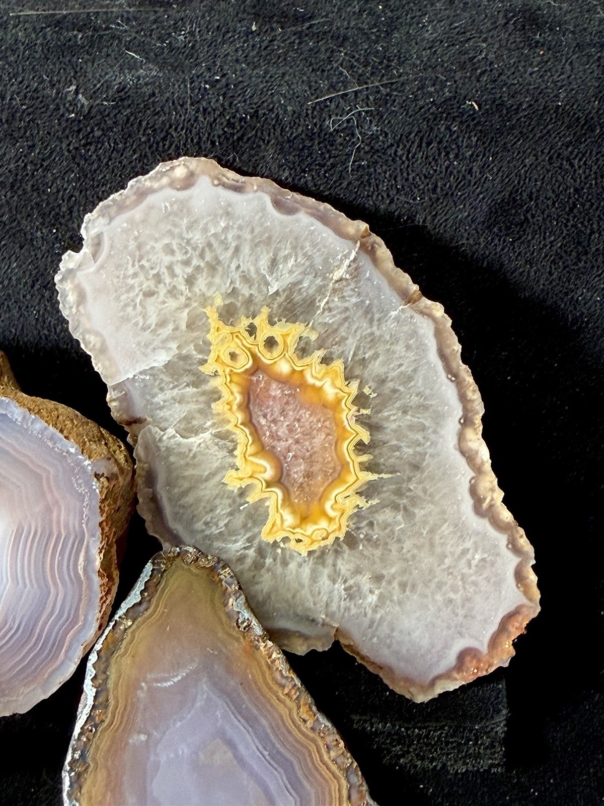 Huge Collection of Coyamito Agates. Mirror Polished Mexico. HARDAGATES