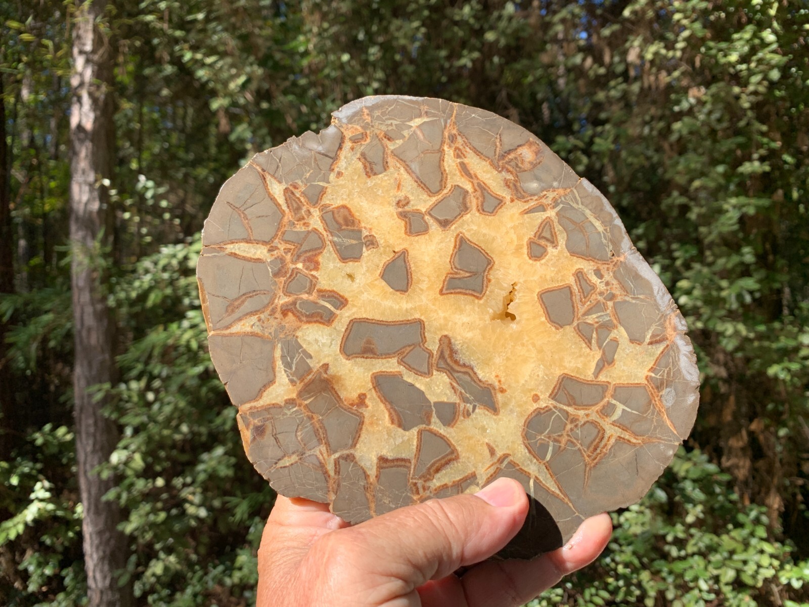 ☆4.7LB (2100Gr) 8 Inch Septarian Nodule 1/2 Geode Mineral Specimen from Utah☆720