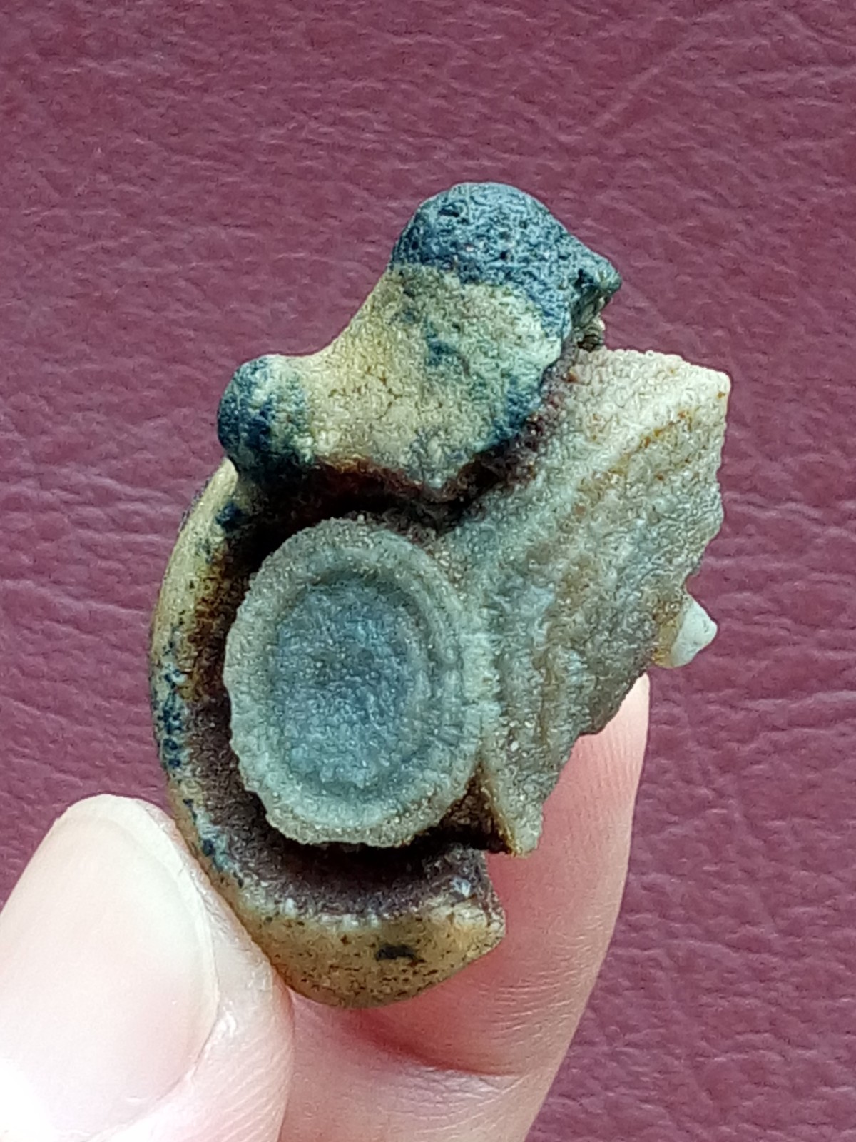36mm Natural Gobi agate eye agate stone cute collection
