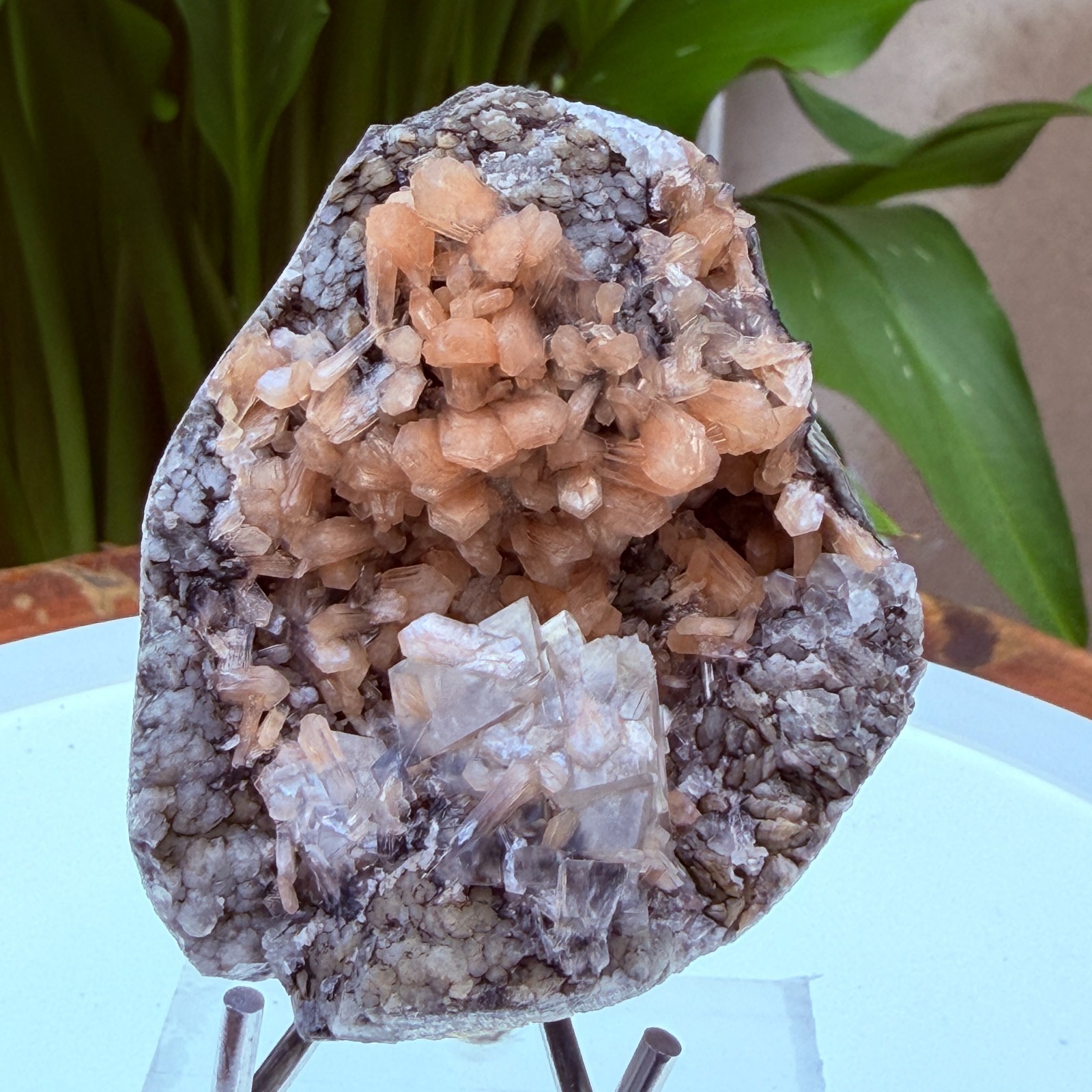 Rare Calcite Stellerite Julgodite Geode India Dual Wave UV Fluorescent Stand