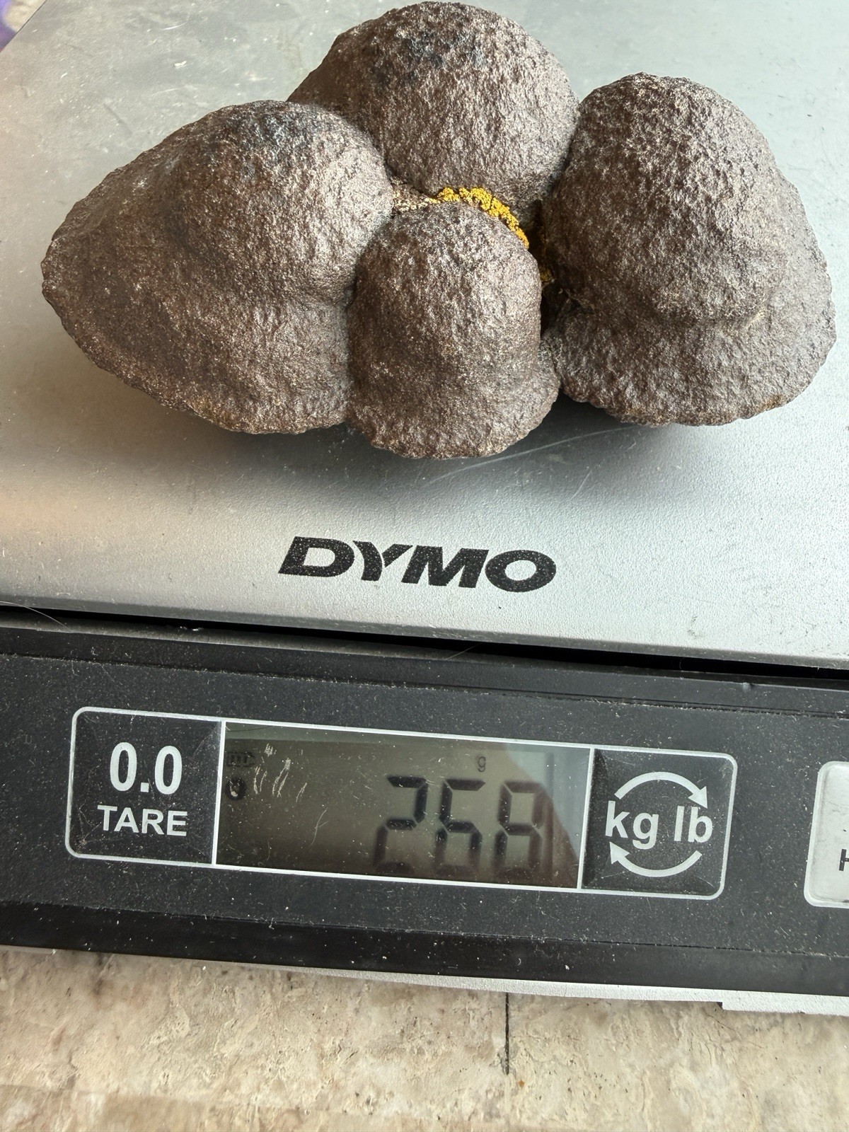 Botryoidal Goethite Hematite Specimen Natural Iron Mineral Cluster 268g 4”