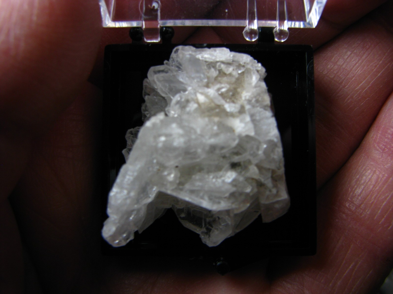 CLEAR/OPAQUE WHITE CELESTINE CRYSTALS MINIATURE IN CASE MICHIGAN USA #066