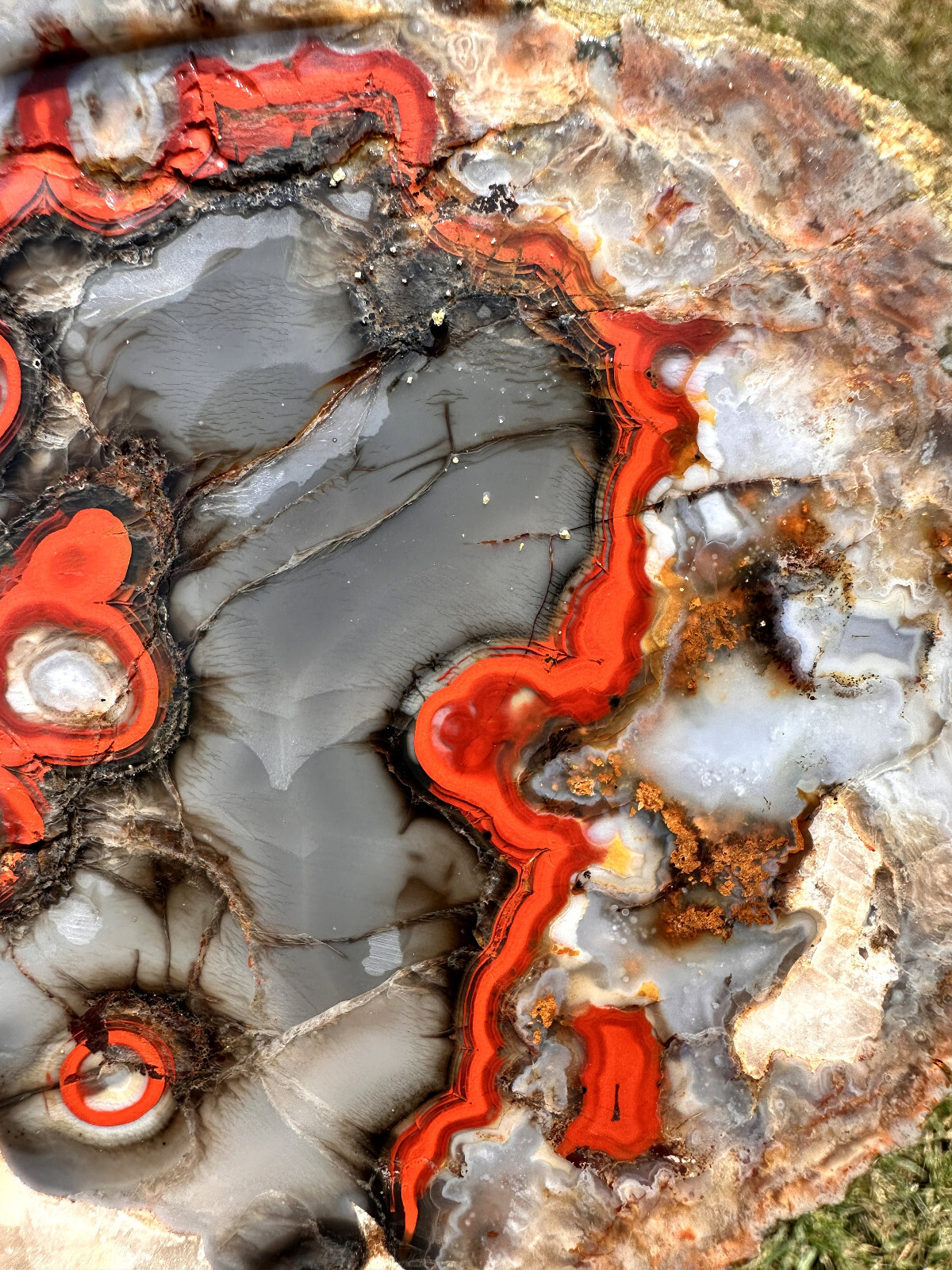 6 1/2 INCHES__Beautiful Imperial Kentucky Agate Slab from Estill County