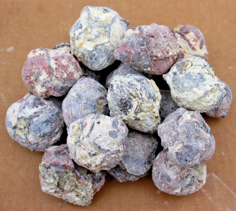 Two Pounds, 10-15 Whole Dugway Geodes • 1.5″ – 2.0″ diam.
