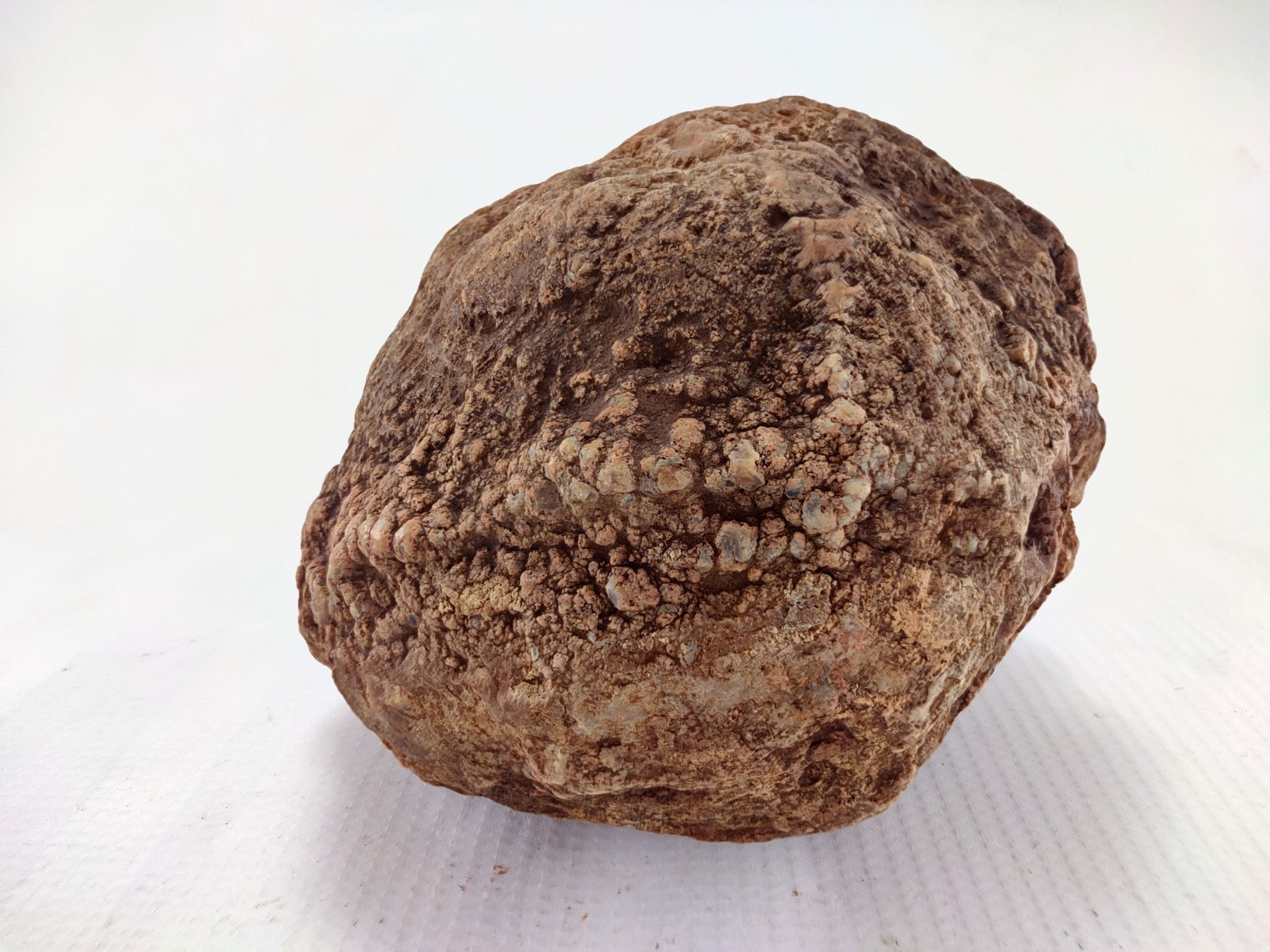 5.75″ Unopened Geode Localized Red Exterior KY Quartz Crystal 5 LB Non Rattler