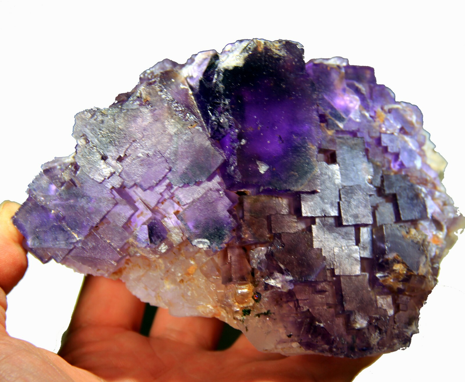 5.25″ Gorgeous FLUORITE on Matrix, Cave-in-Rock, Hardin County, Illinois! FL366