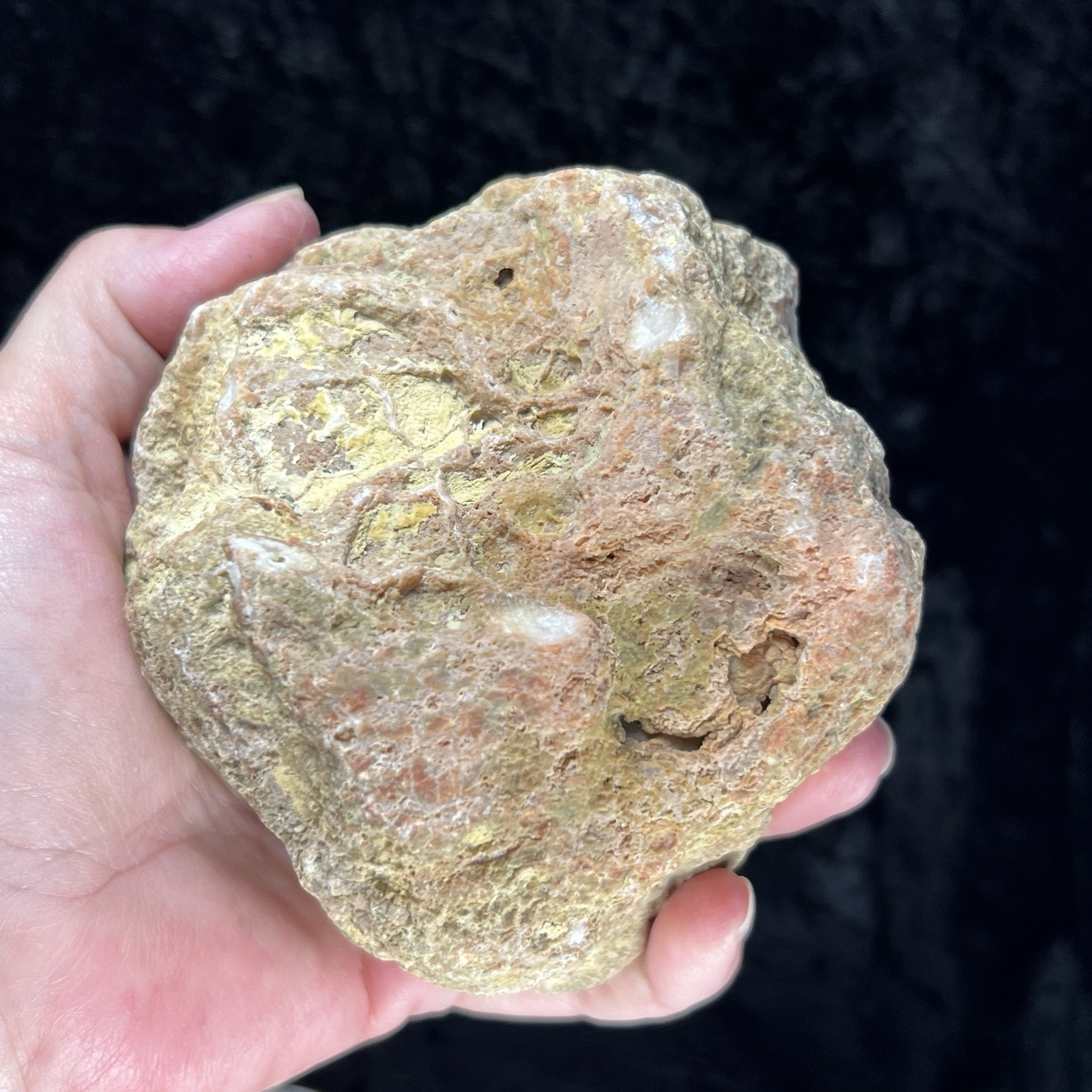 4-1/3″ Unopened Geode Uncut Red Fossilized Quartz Crystal Chalcedony Agate 2Lb