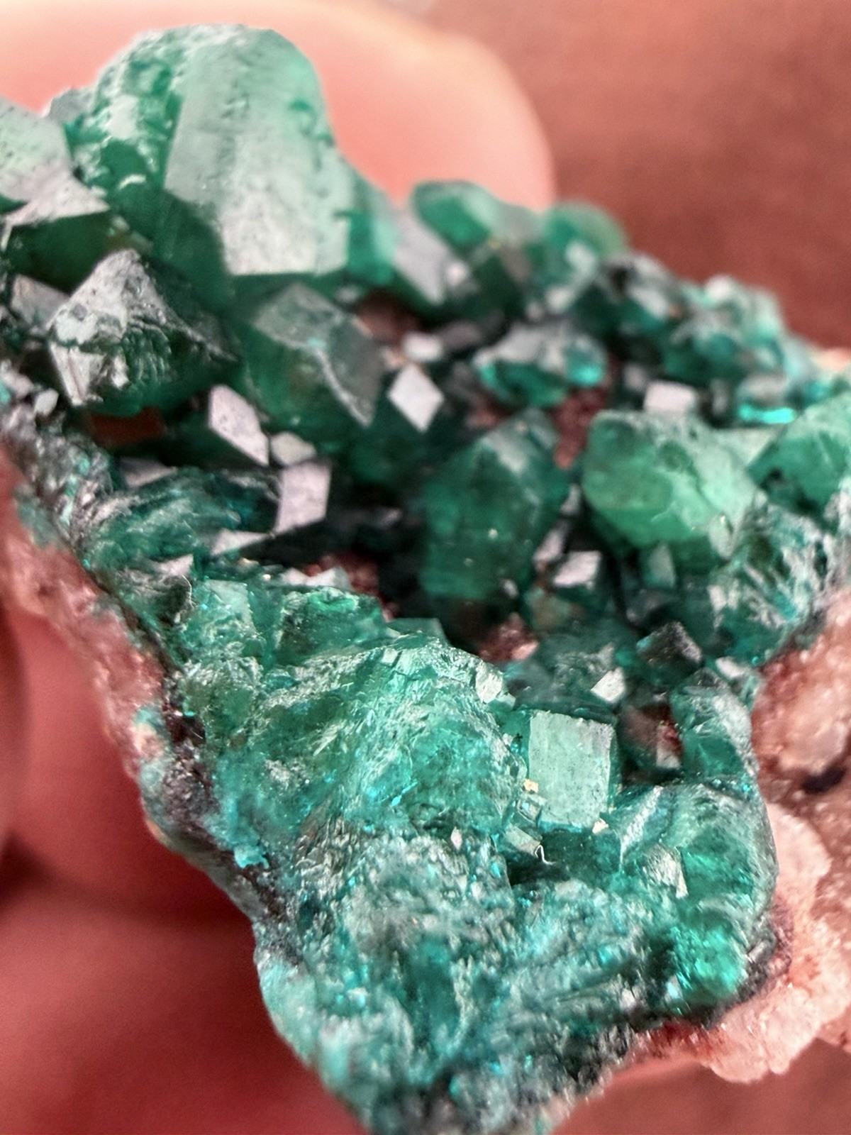 Emerald Green Dioptase Crystal Cluster from the Congo in Africa 22.6 g.