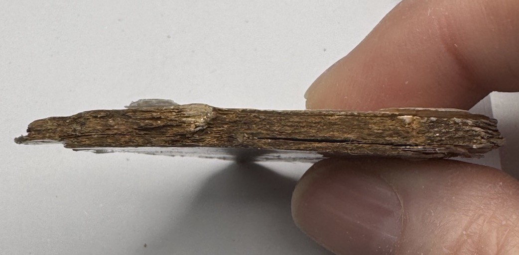 Beautiful Layered Mica Specimen 2 1/2” X 2”X 5/16” In Perfect Layers!!