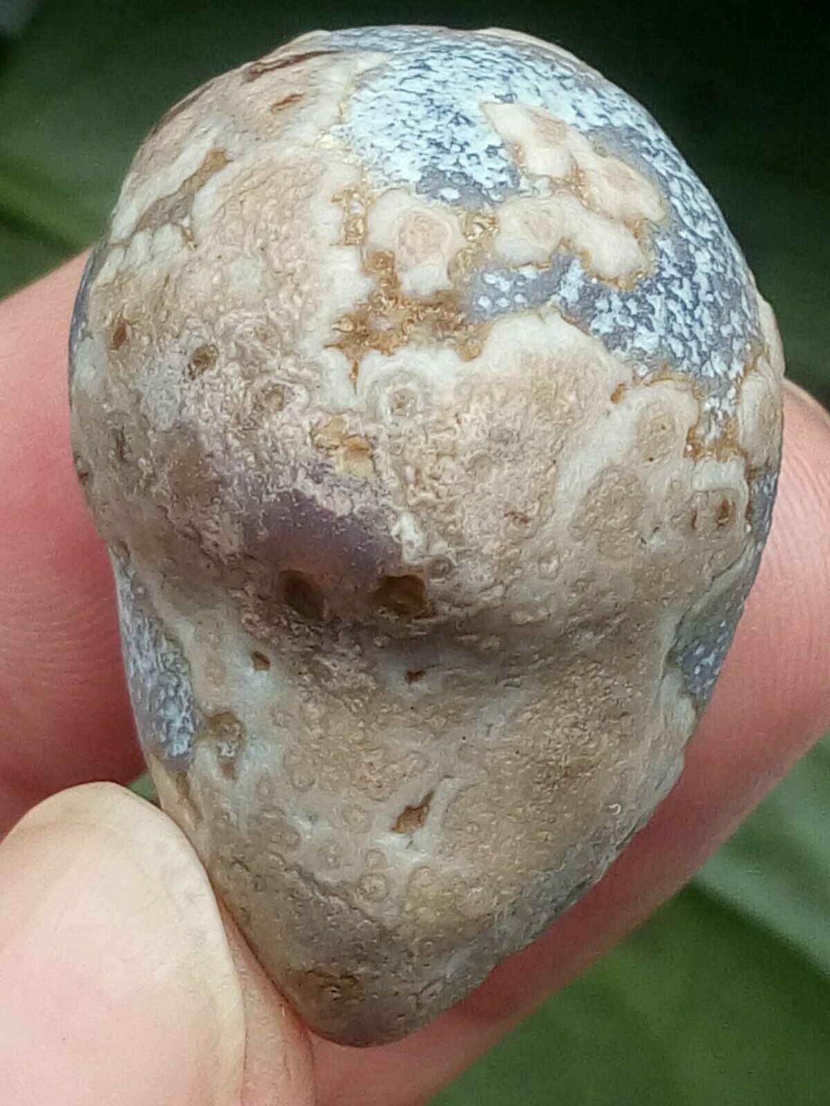 36mm Natural Gobi agate eye agate/stone,Suiseki-viewing collection china