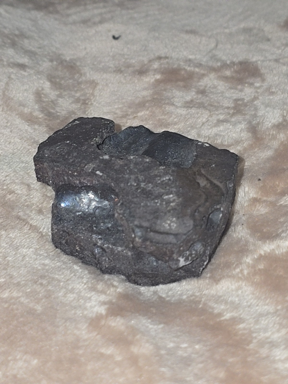 208 GRAM Murchison meteorite w/ fusion crust (CM2 carbonaceous) Australia