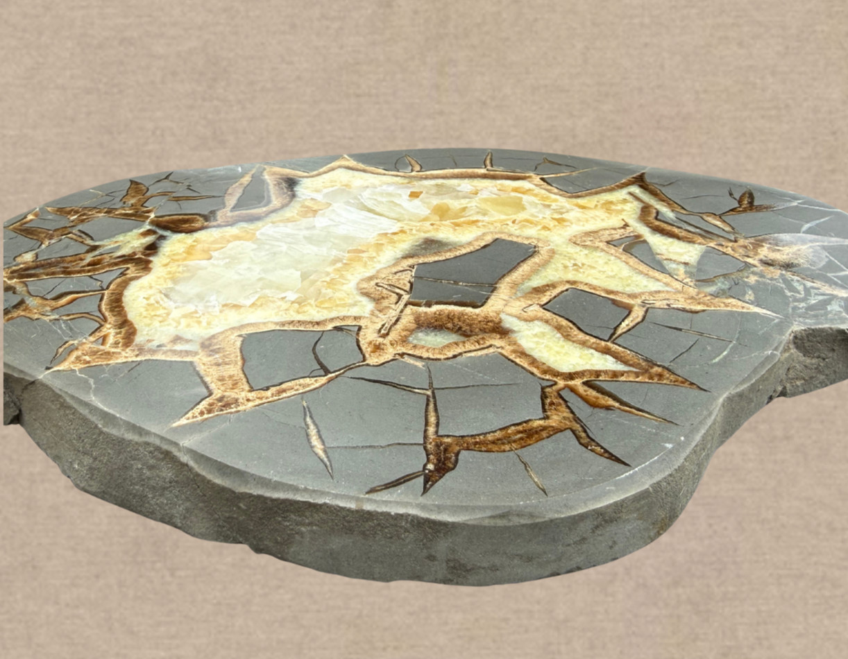 Polished Septarian Nodule Geode Calcite Crystal Display Stone