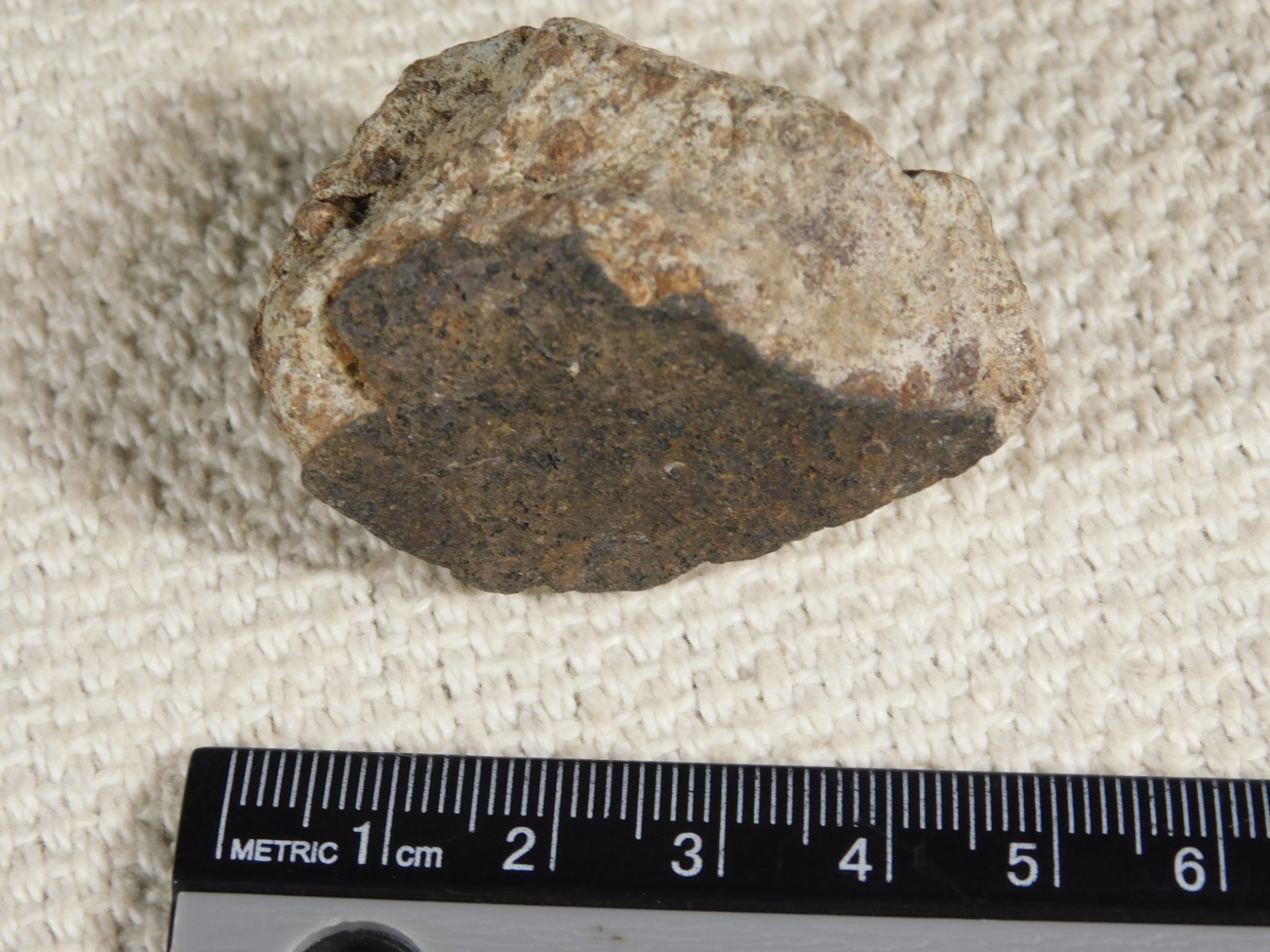 Classified NWA 8245 METEORITE 100% Natural FELL on Erfoud, Morocco 68.0gr