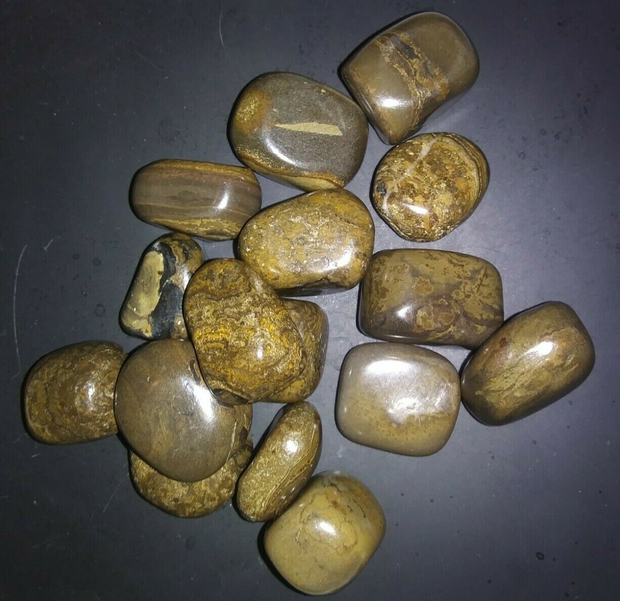 1 Stromatolite Tumbled Gemstone 7/8″ – 1-1/8″ Med./Lg. Sz.
