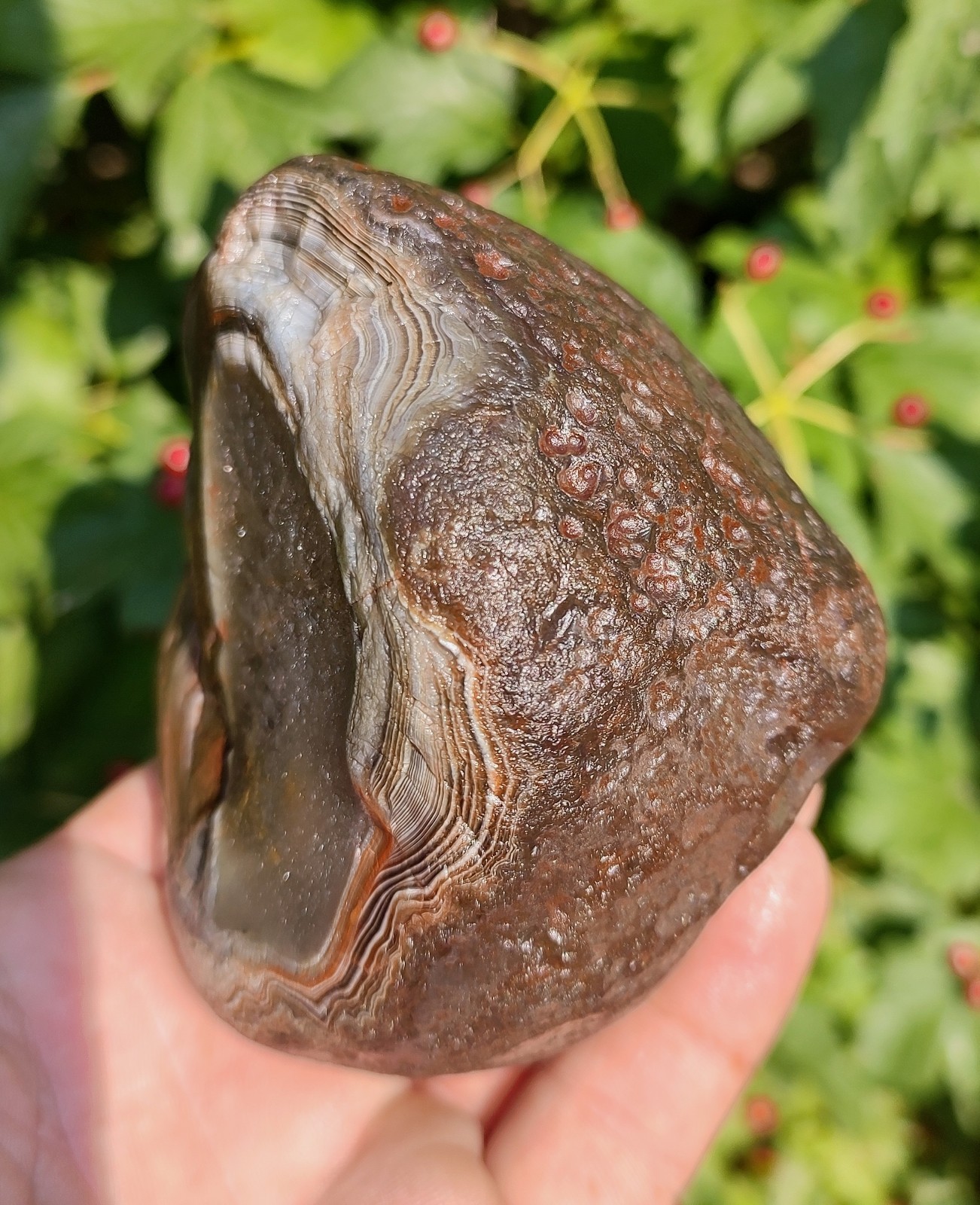 Lake Superior Agate✨, 1lb 8.7oz Outstanding Mixed Color Lake Superior Gem