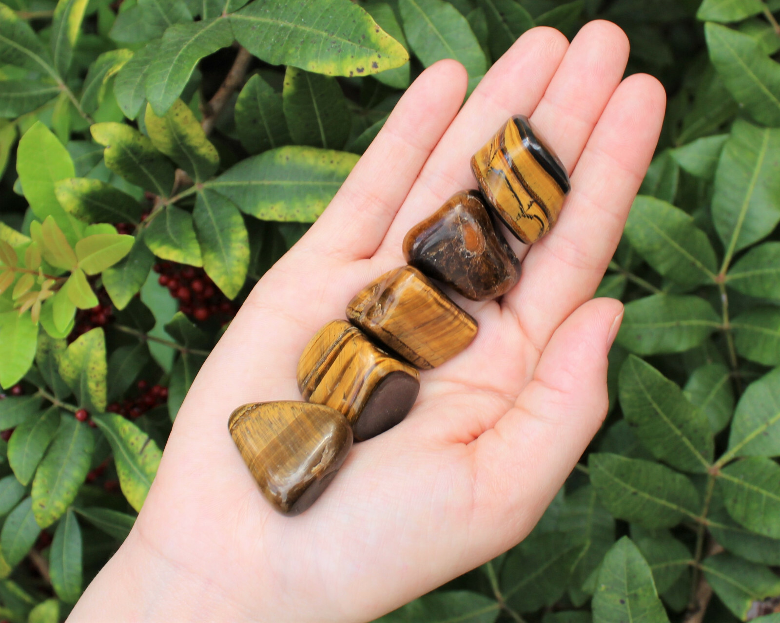1/2 lb Bulk Lot Large Gold Tiger Eye Tumbled Stone Crystal Healing Reiki 8 oz