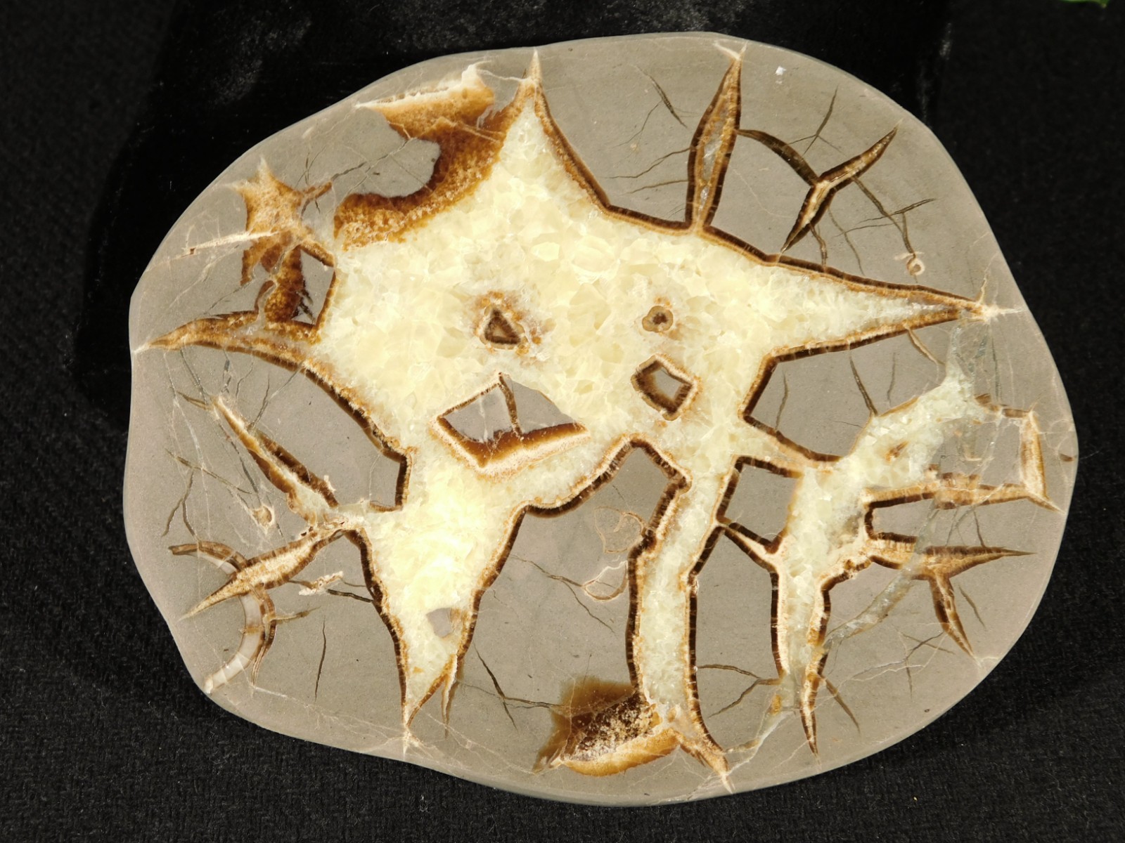 Polished FLUORESCENT SEPTARIAN Nodule Slice 100% Natural w/Stand 244gr