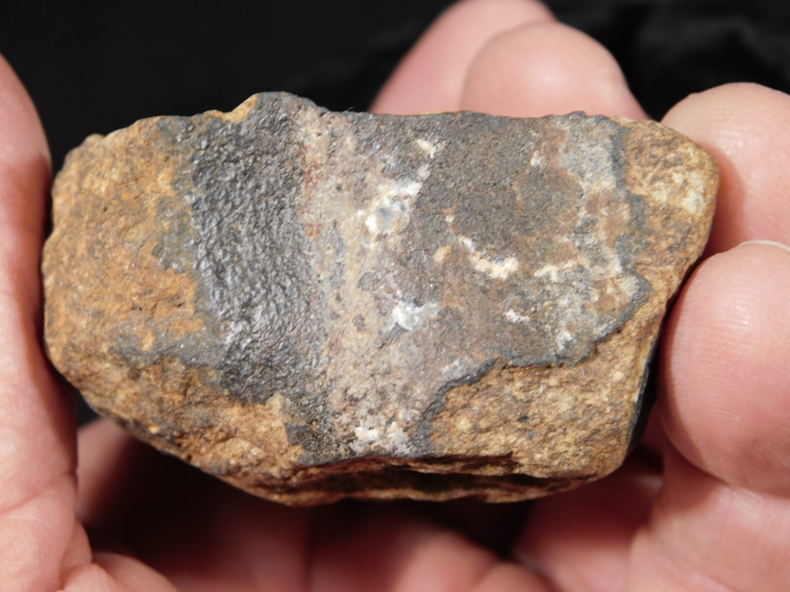 Larger Classified NWA 8245 METEORITE 100% Natural! Erfoud, Morocco 207gr