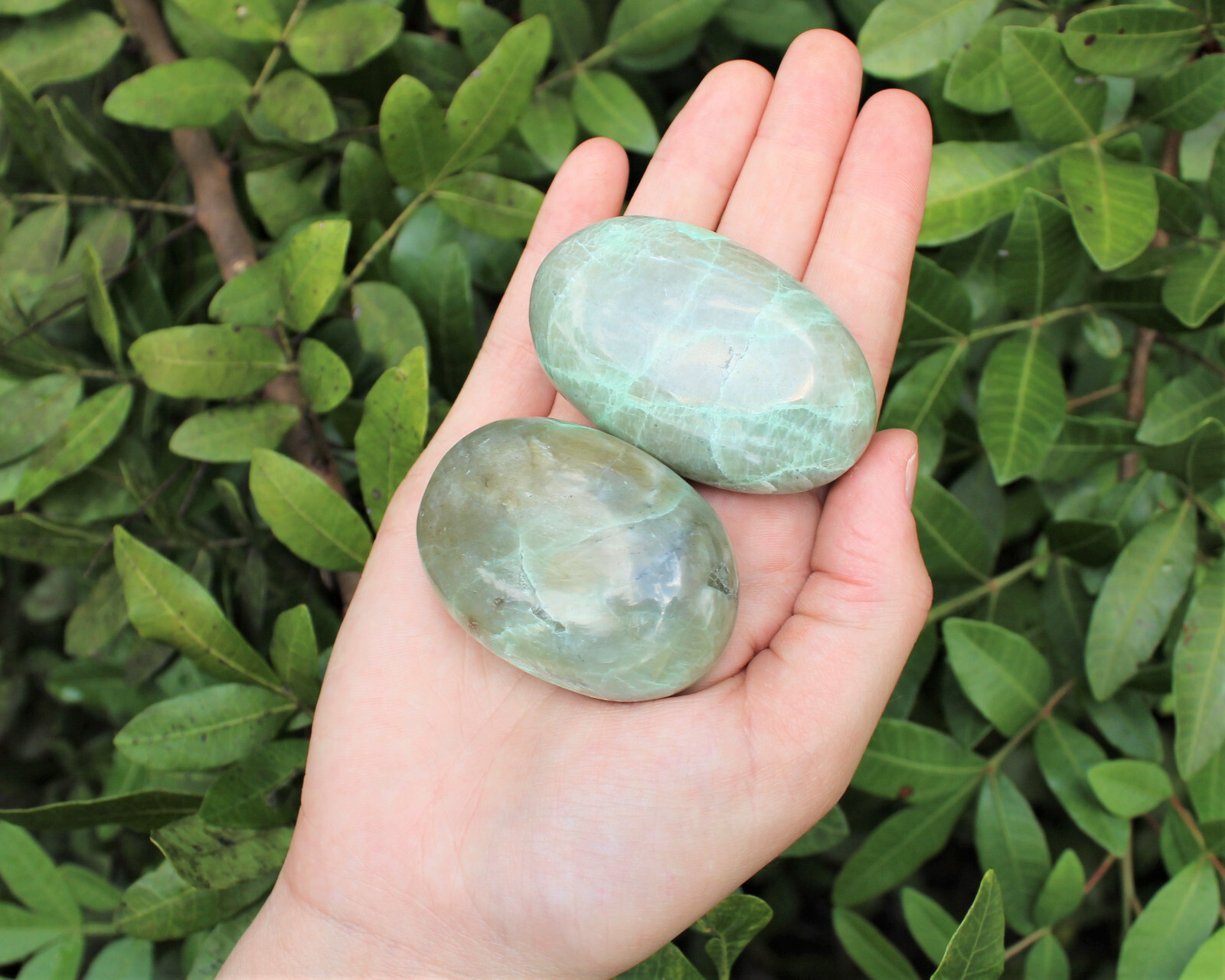 Garnierite Hand Polished Stones: Green Moonstone Pebbles, Palm Stone, Crystal