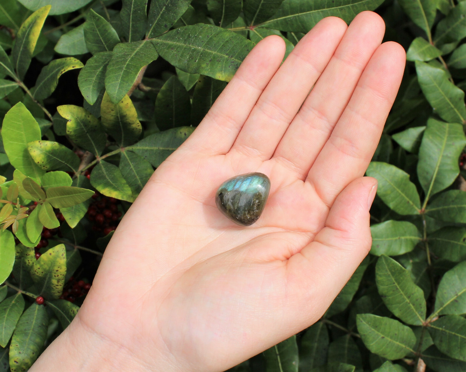 1 lb Labradorite Tumbled Stones, Bulk Lot (Crystal Healing Reiki Gemstone)