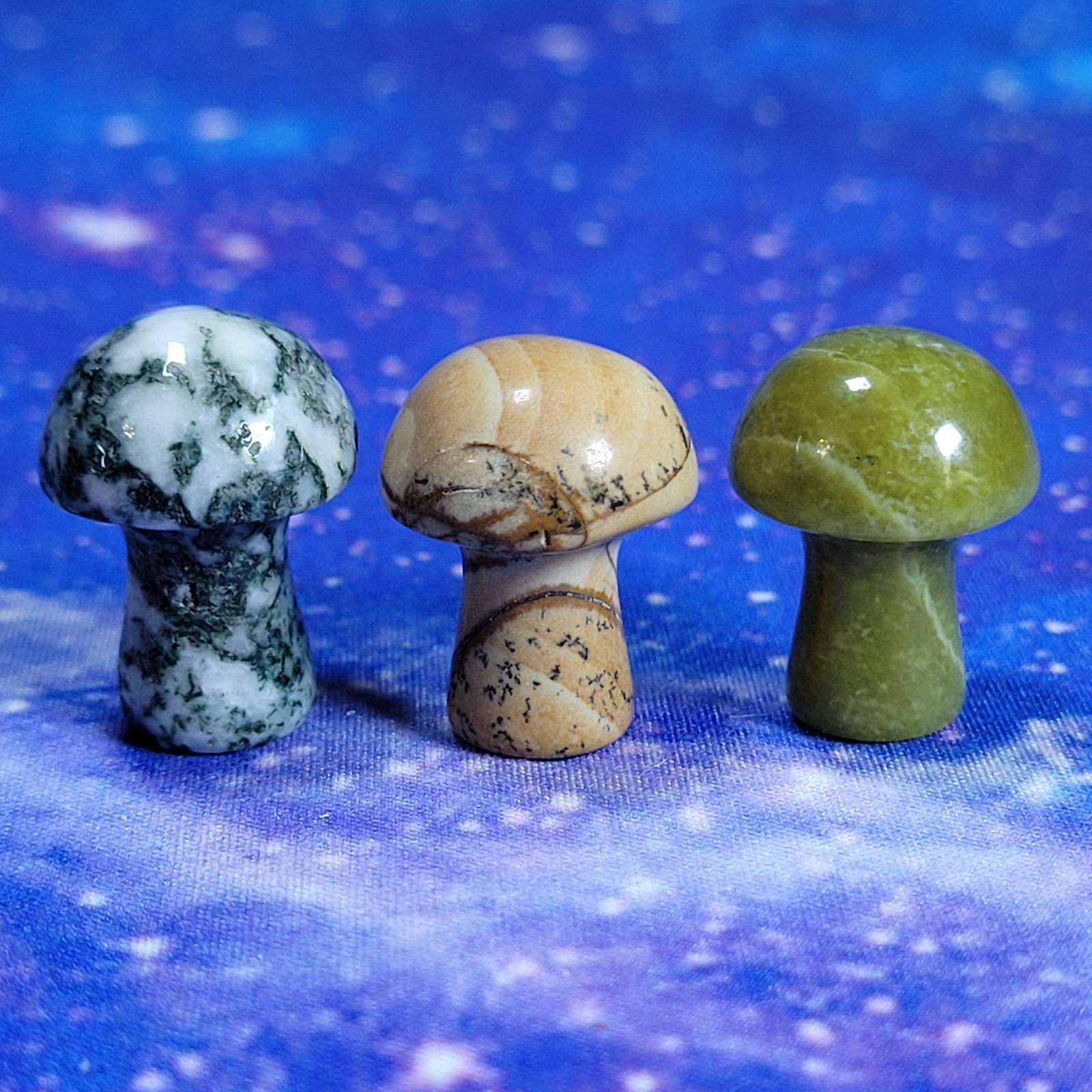 3 Magic Mushroom Carvings: Moss Agate/Picture Jasper/Serpentine 20mm w/Display