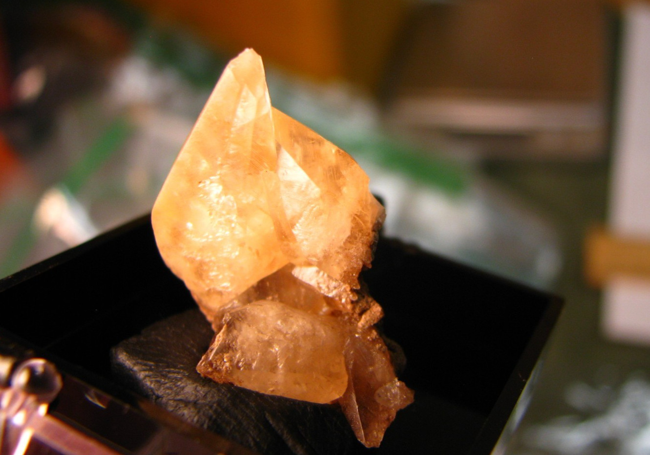 GOLDEN DOGTOOTH CALCITE CLUSTER THUMBNAIL IN CASE MARBLEHEAD QUARRY OHIO #224