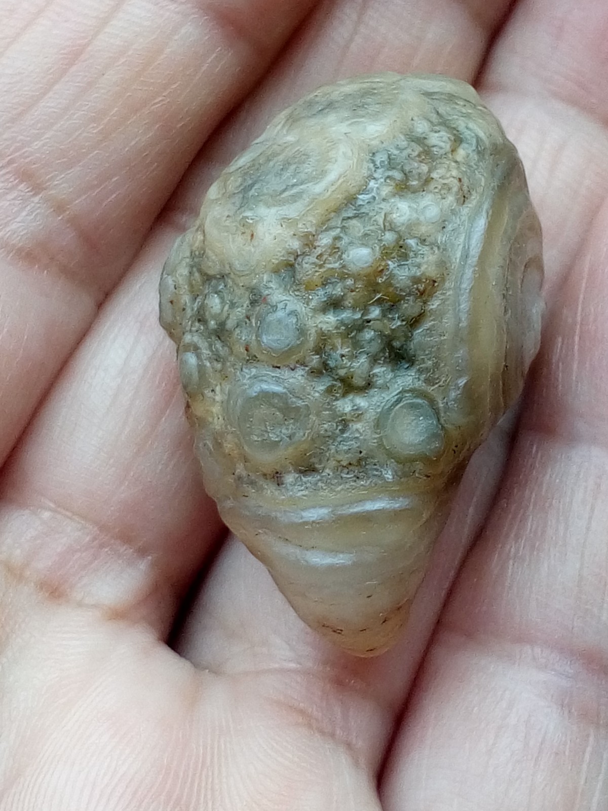 36mm rare Natural GoBi agate eye agate cute collection
