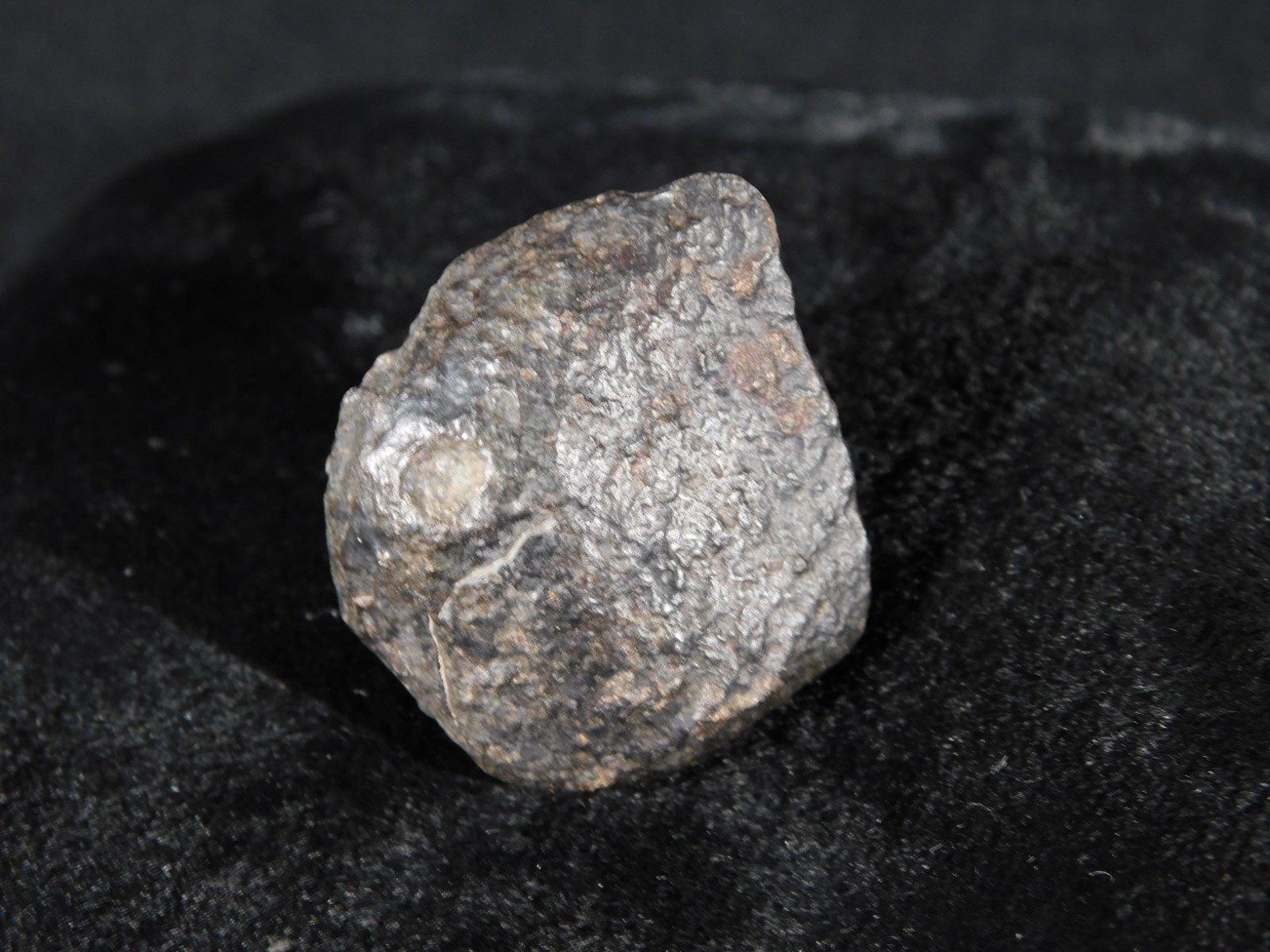 Small Stony METEORITE With Dark Fusion Crust 100% Natural Fell in Libya 16.2gr