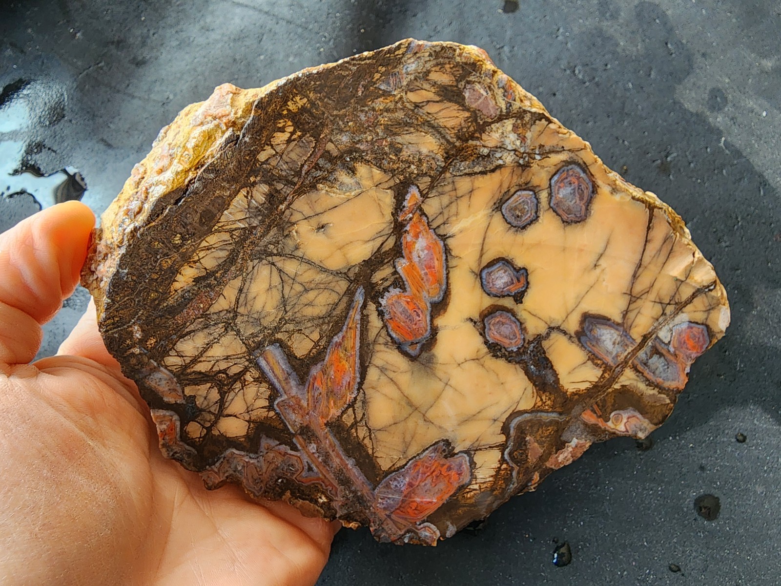 3.3 lbs (1.5 kg) Unpolished Agate, Almus Agate, Large Agate Pair, アゲートのペア, العقي