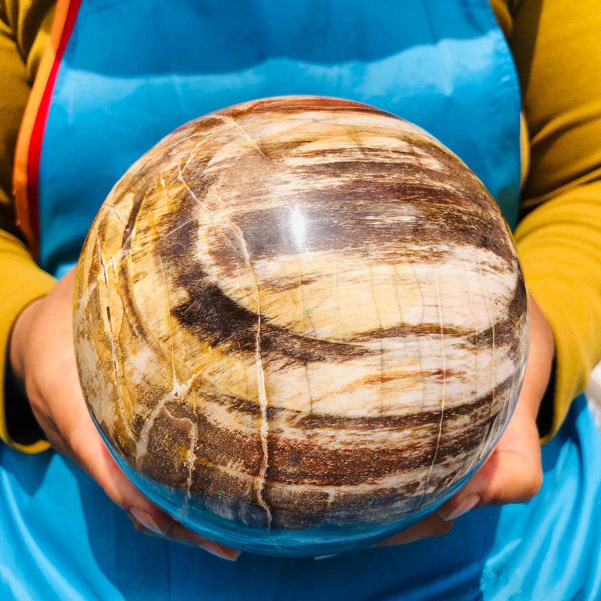 8.18LB Rare Natural Petrified Wood Ball Crystal Quartz Mineral Healing 4698