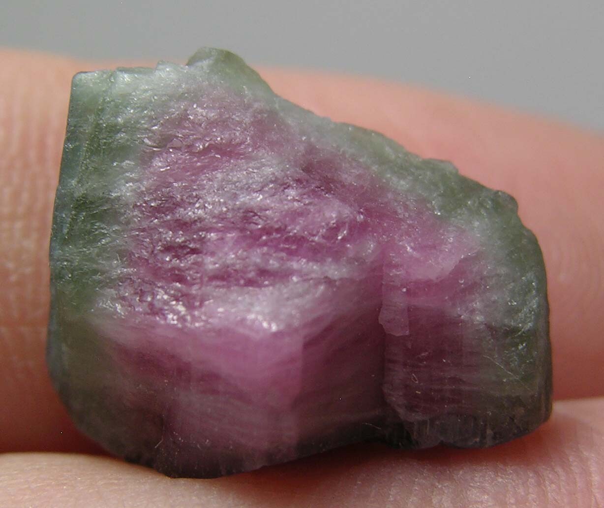 11.00ct Afghan 100% Natural Watermelon Tourmaline Crystal Specimen 2.20g 16.00mm