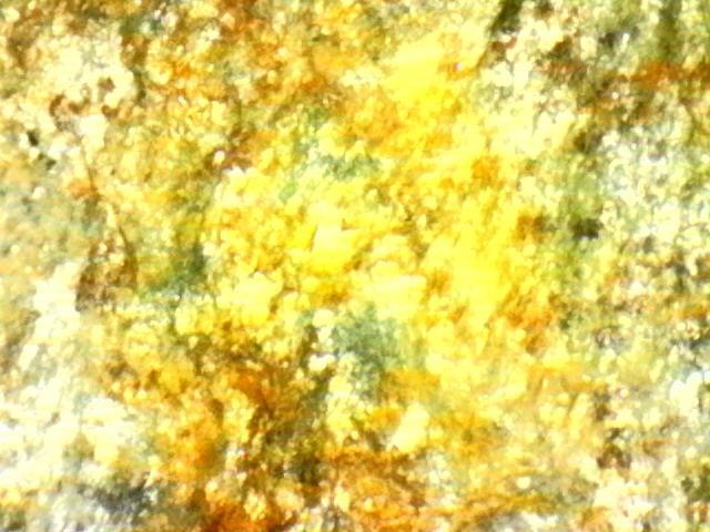 Platinum and Gold Ore Specimen/ Black Hills South Dakota