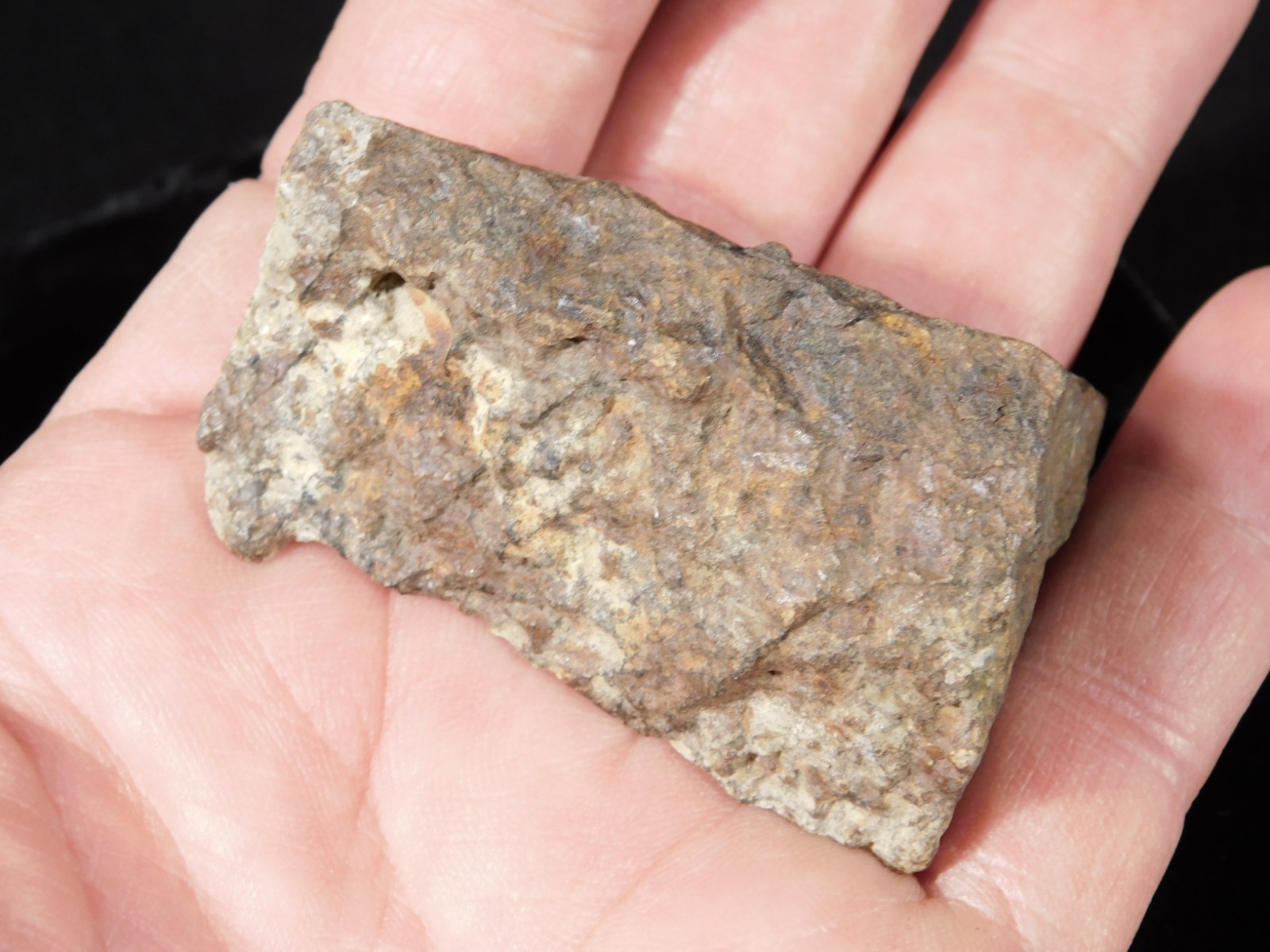 Classified NWA 8245 METEORITE 100% Natural FELL on Erfoud, Morocco 92.7gr