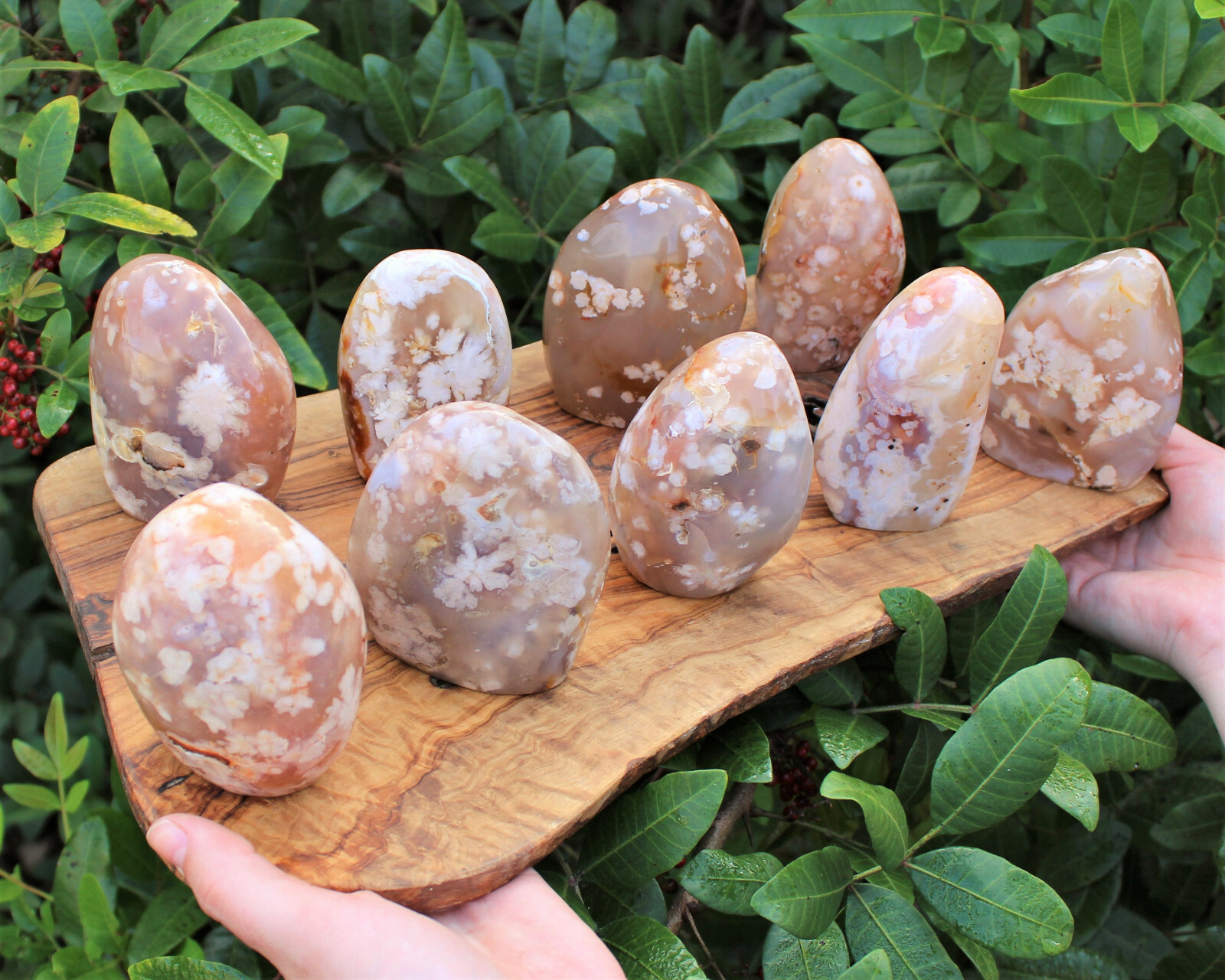 Flower Agate Freeform – Stunning Polished Free Standing Crystal Display Specimen