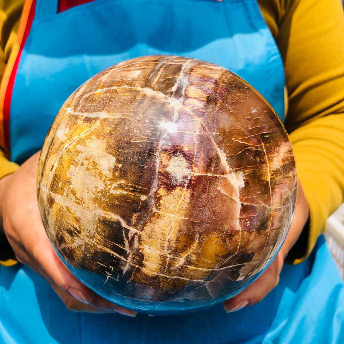 8.18LB Rare Natural Petrified Wood Ball Crystal Quartz Mineral Healing 4698