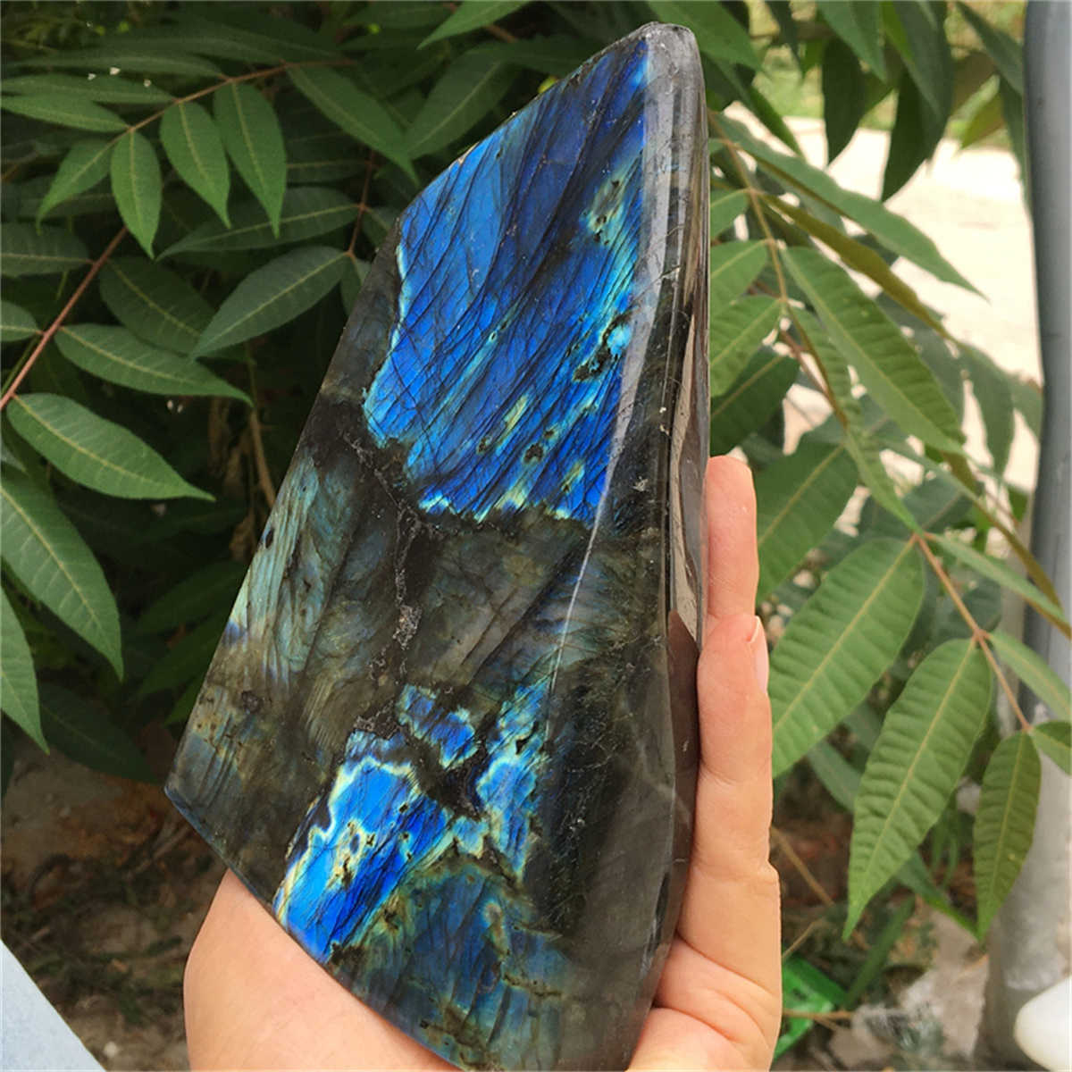 1.1kg Natural Labradorite Mineral Quartz Crystal Mineral Reiki healing