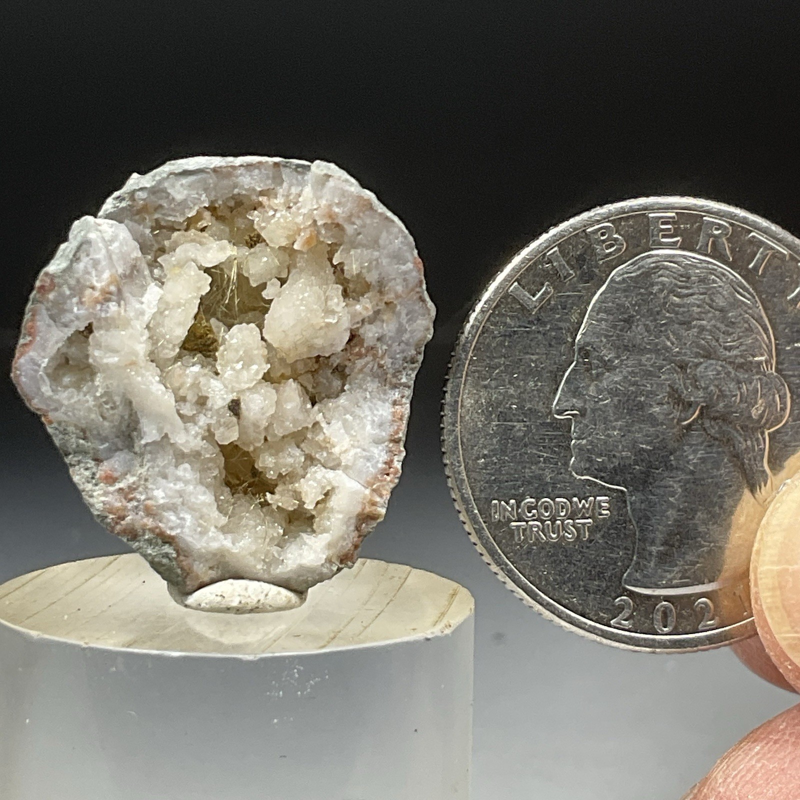 SS Rocks – Millerite with Quartz (Halls Gap, Lincoln Co, Kentucky) 5.12g