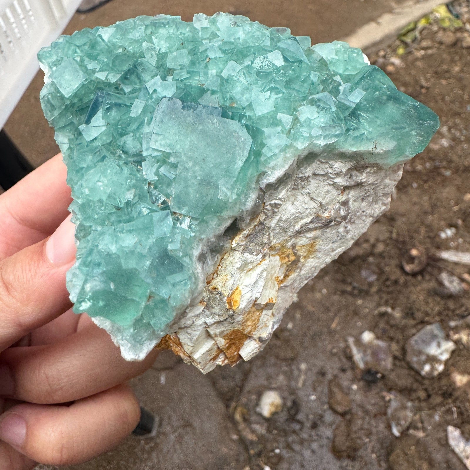340G Natural cubic green fluorite crystal cluster rough mineral specimen Healing