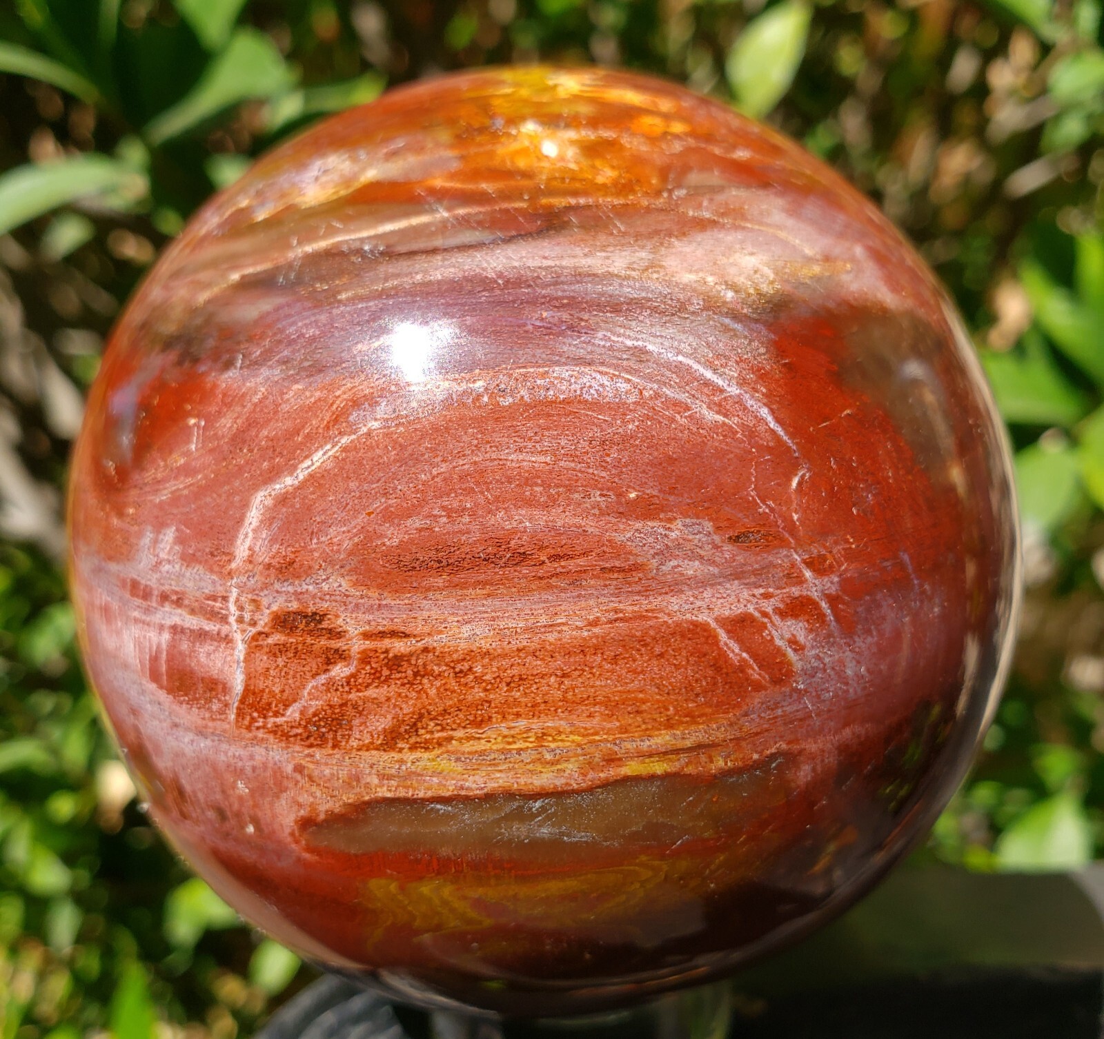 3.36″ Red Petrified Wood Sphere Orb Quartz Crystal Ball Fossil Mineral UV, 865g