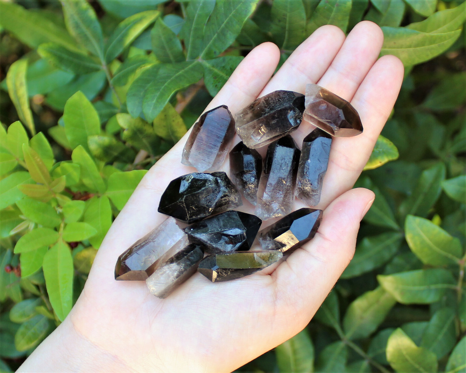 Smoky Quartz Crystal Points: 250 Carat Lot (50 Gram, Natural Smokey Quartz)