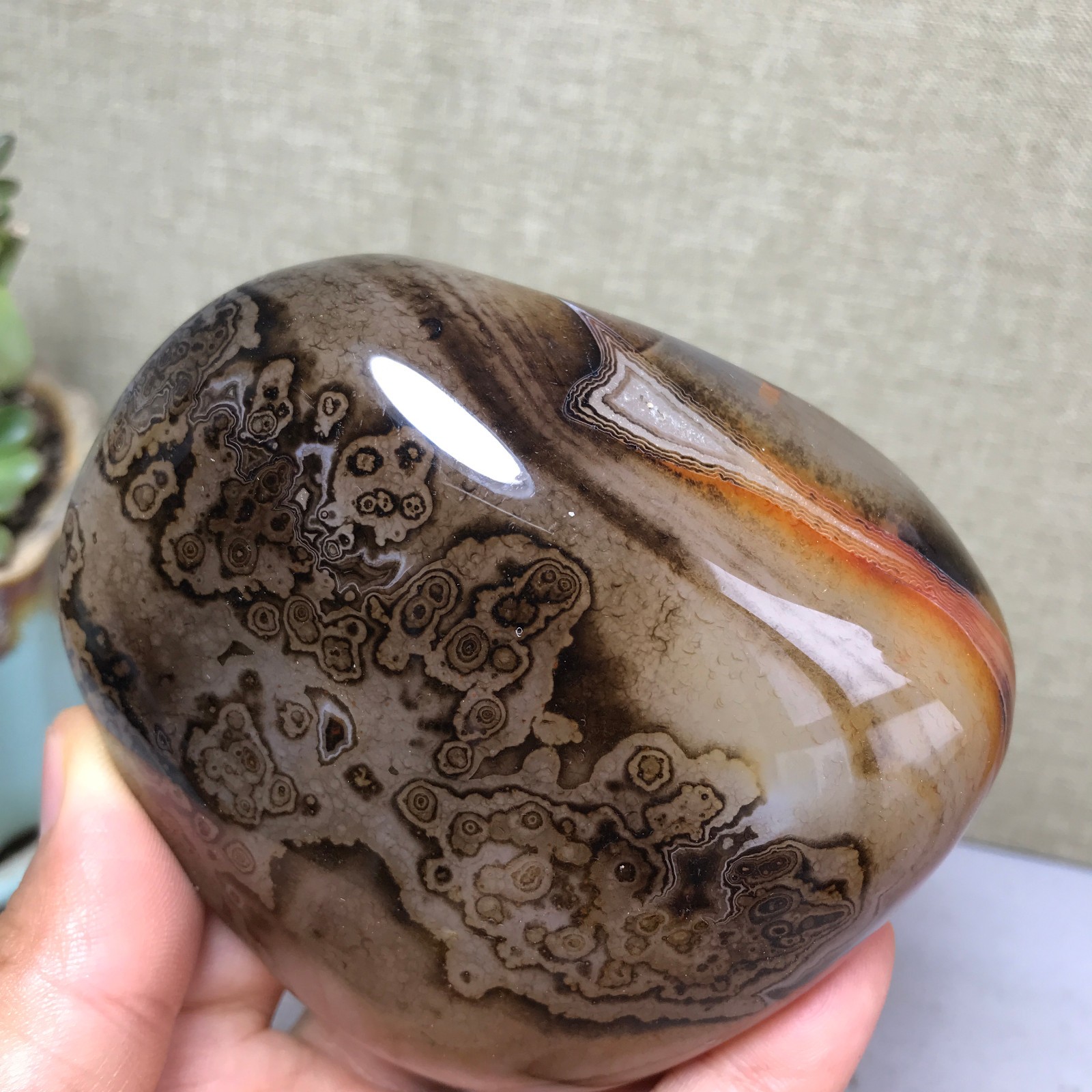 85mm Crazy Lace SILK Banded Agate Polished Crystal Specimen Tumbled 318g A5254