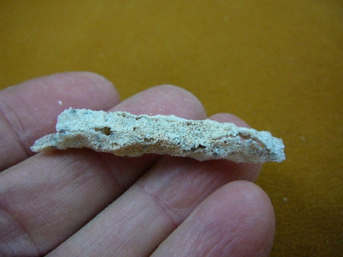 (r365-84) 1-7/8″ Fulgurite lightning strike beach sand glass Georgia fulgurites
