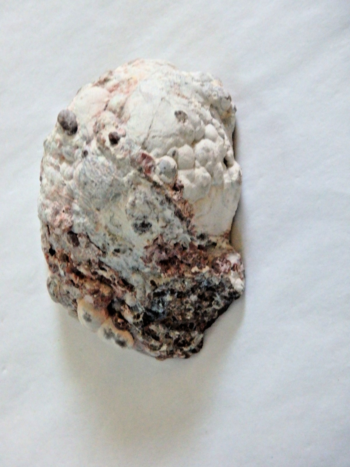 Unusual Baker Egg Geode Hermanus Ranch Columbus MN 65 grams half geode